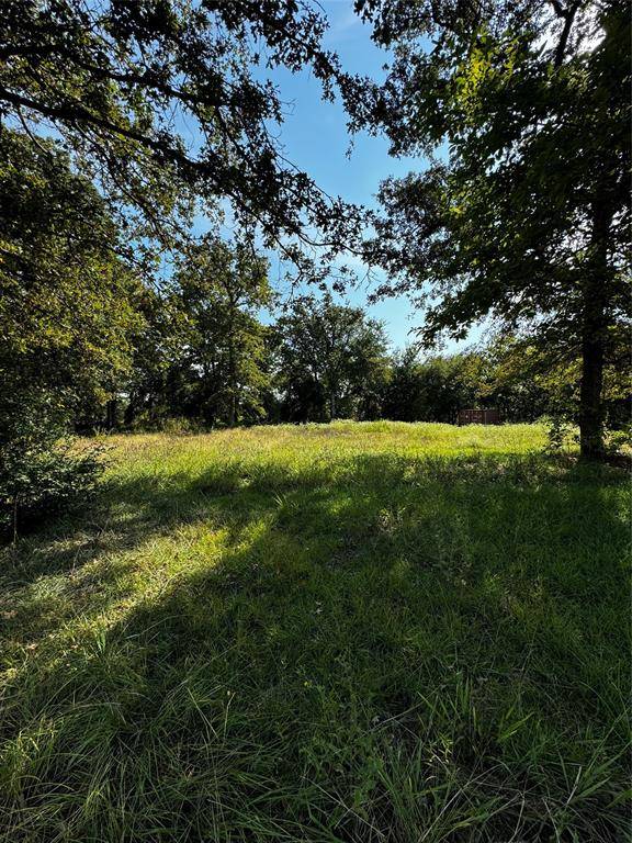 TBD County Road 2829, Mabank, TX 75156
