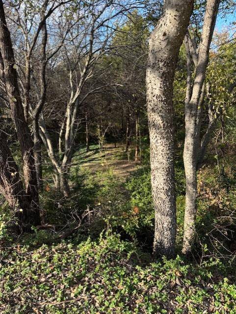 2009 Valley View Drive, Cedar Hill, TX 75104