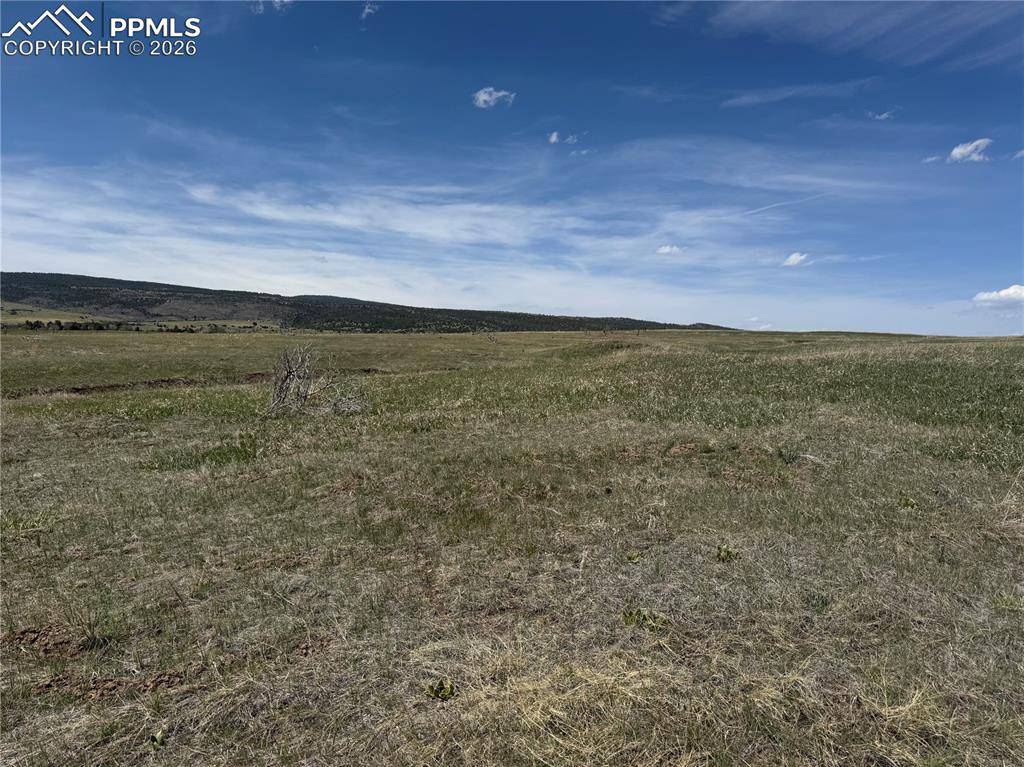 Lot 8 Good Pasture DR, Beulah, CO 81023