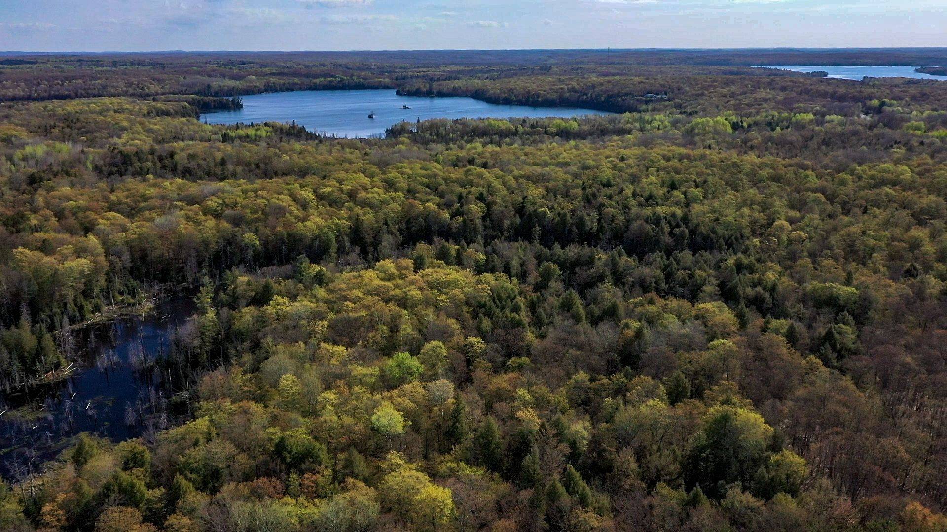 0 Trotter Oitment RD N, North Kawartha, ON K0L 1A0