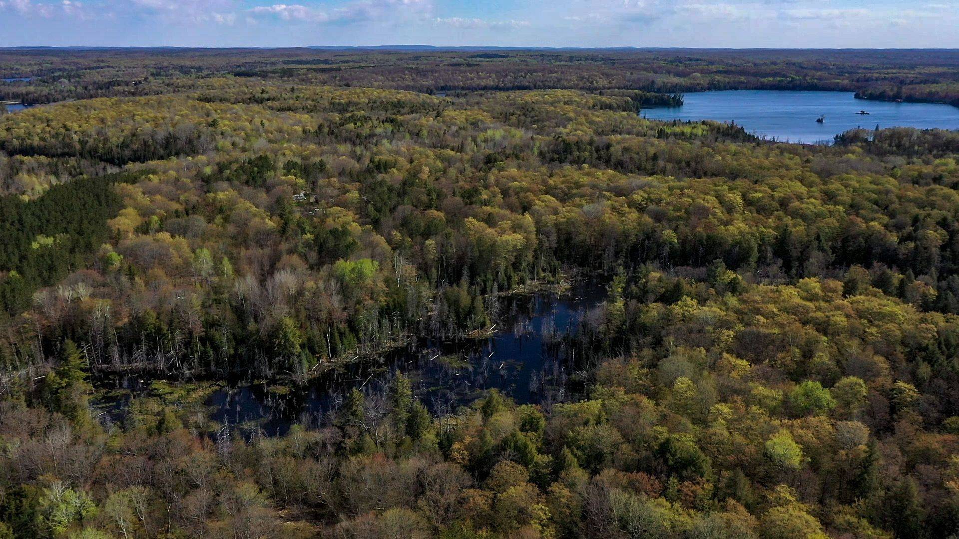 0 Trotter Oitment RD N, North Kawartha, ON K0L 1A0