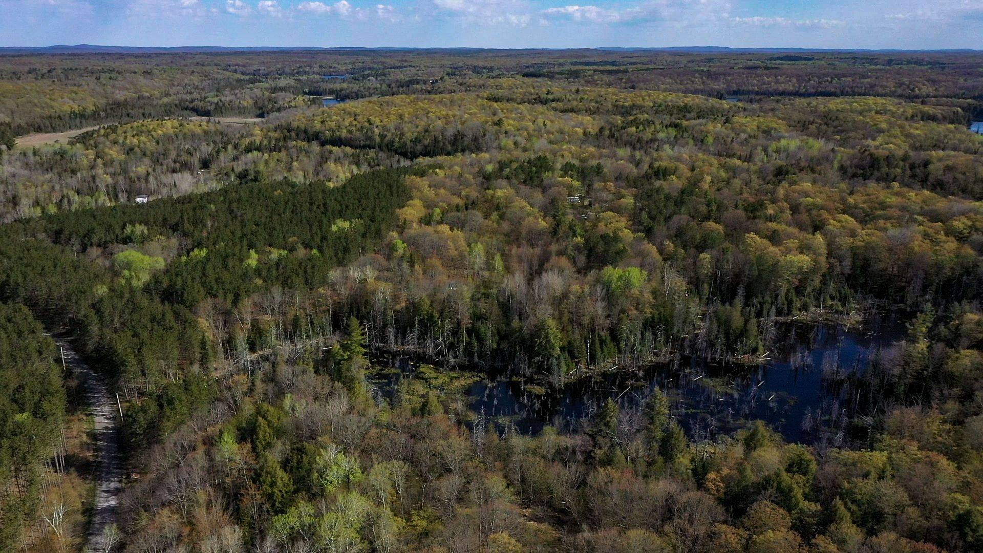 0 Trotter Oitment RD N, North Kawartha, ON K0L 1A0