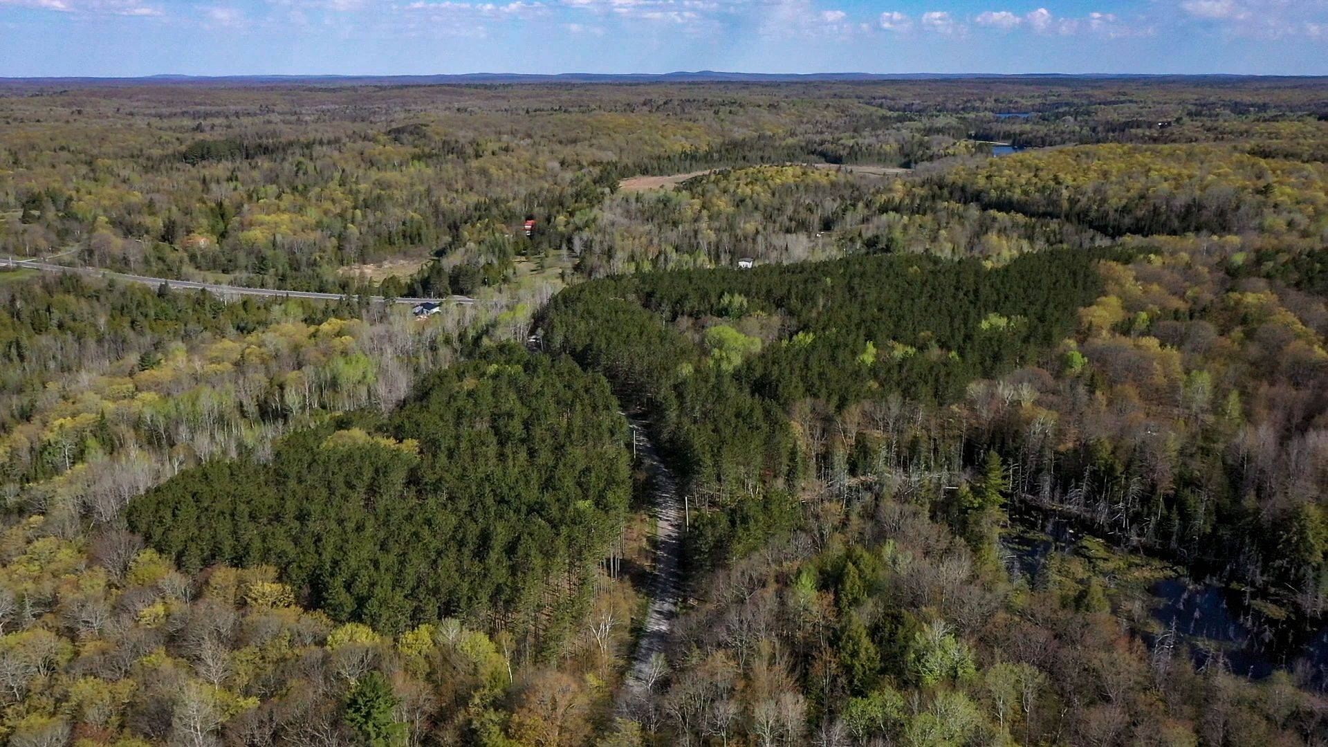 0 Trotter Oitment RD N, North Kawartha, ON K0L 1A0