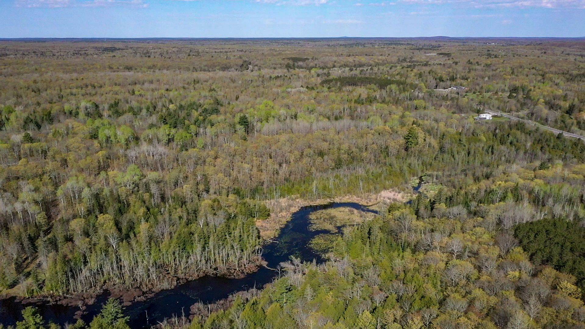 0 Trotter Oitment RD N, North Kawartha, ON K0L 1A0