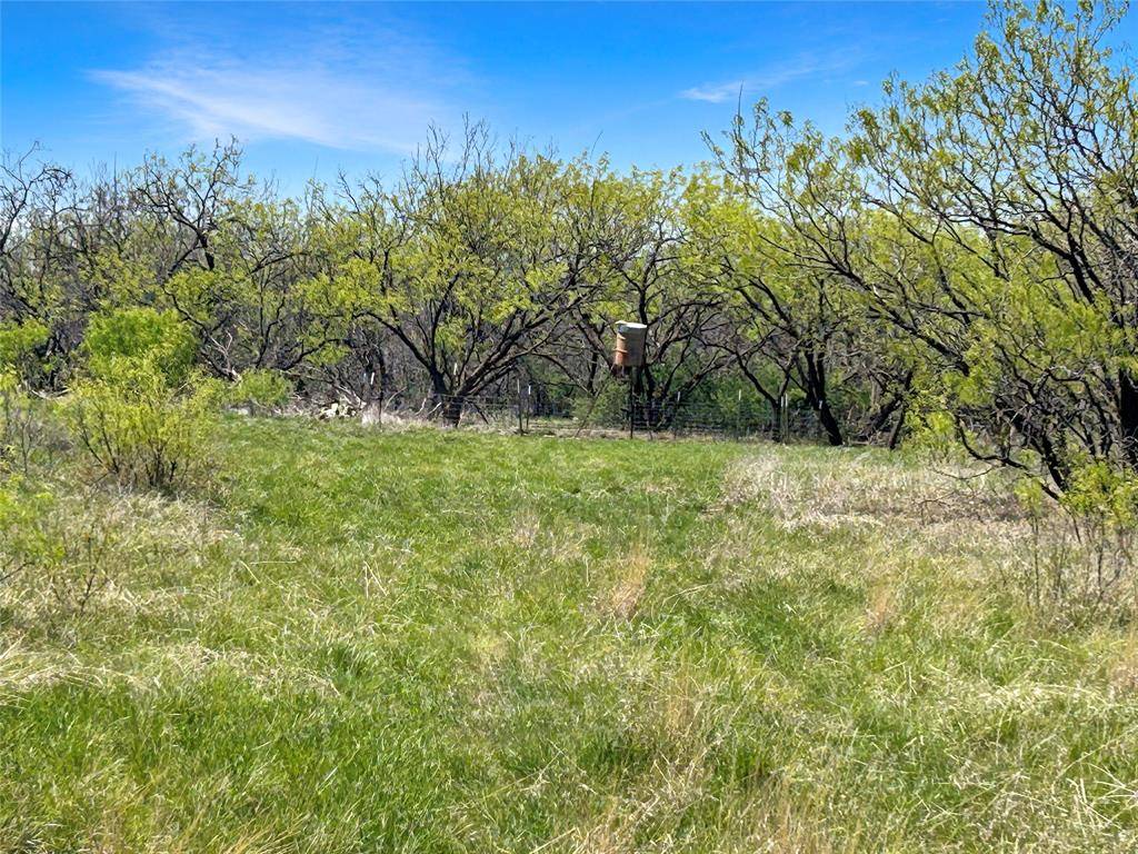 1116 County Road 107, Cisco, TX 76437