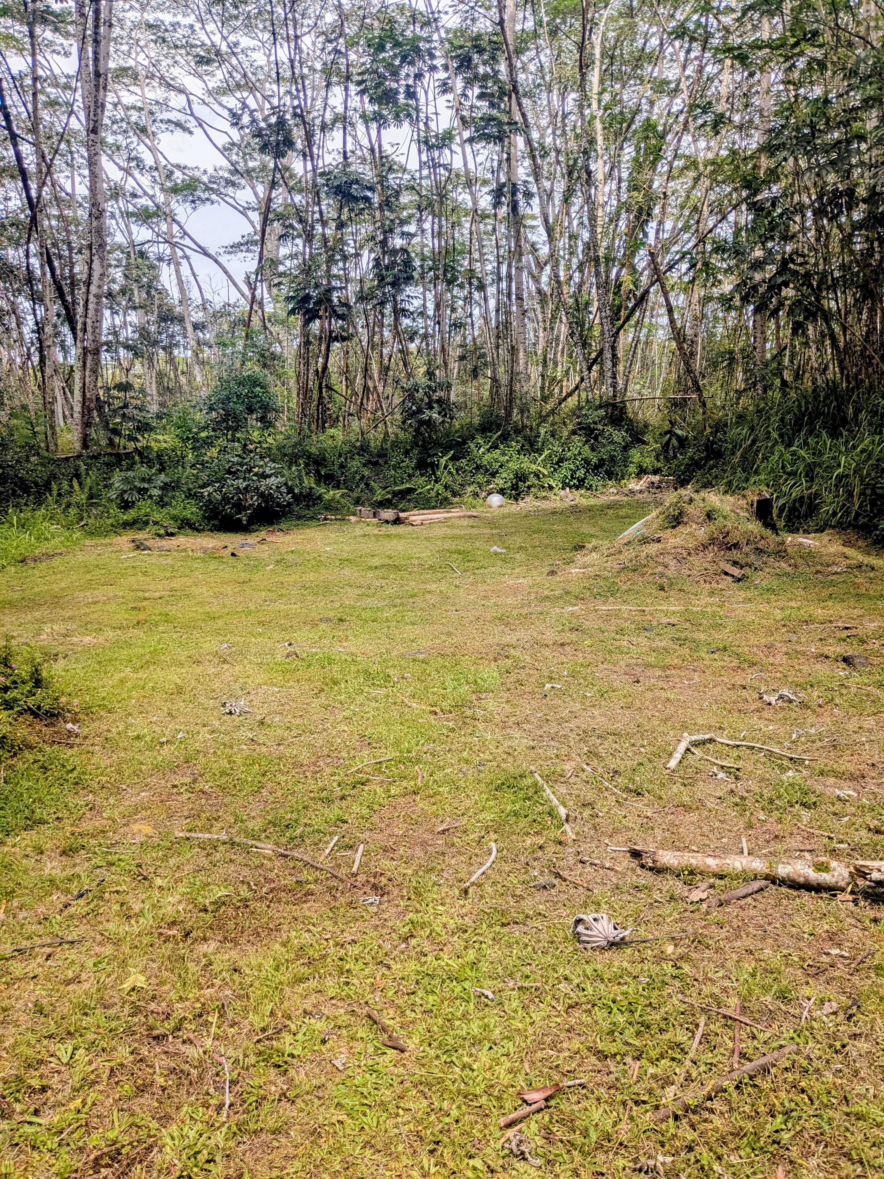 PAKALANA RD, Pahoa, HI 96778
