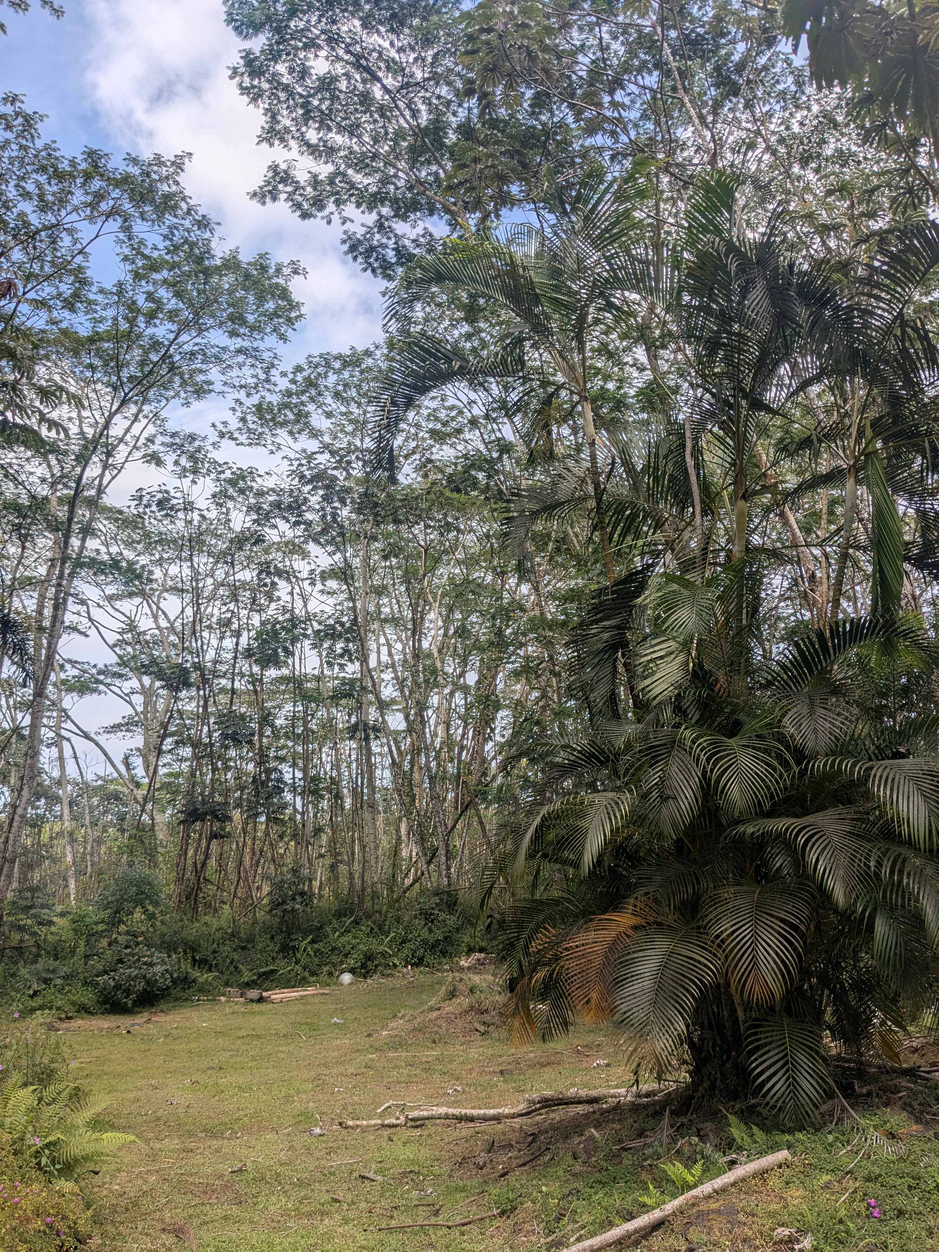 PAKALANA RD, Pahoa, HI 96778
