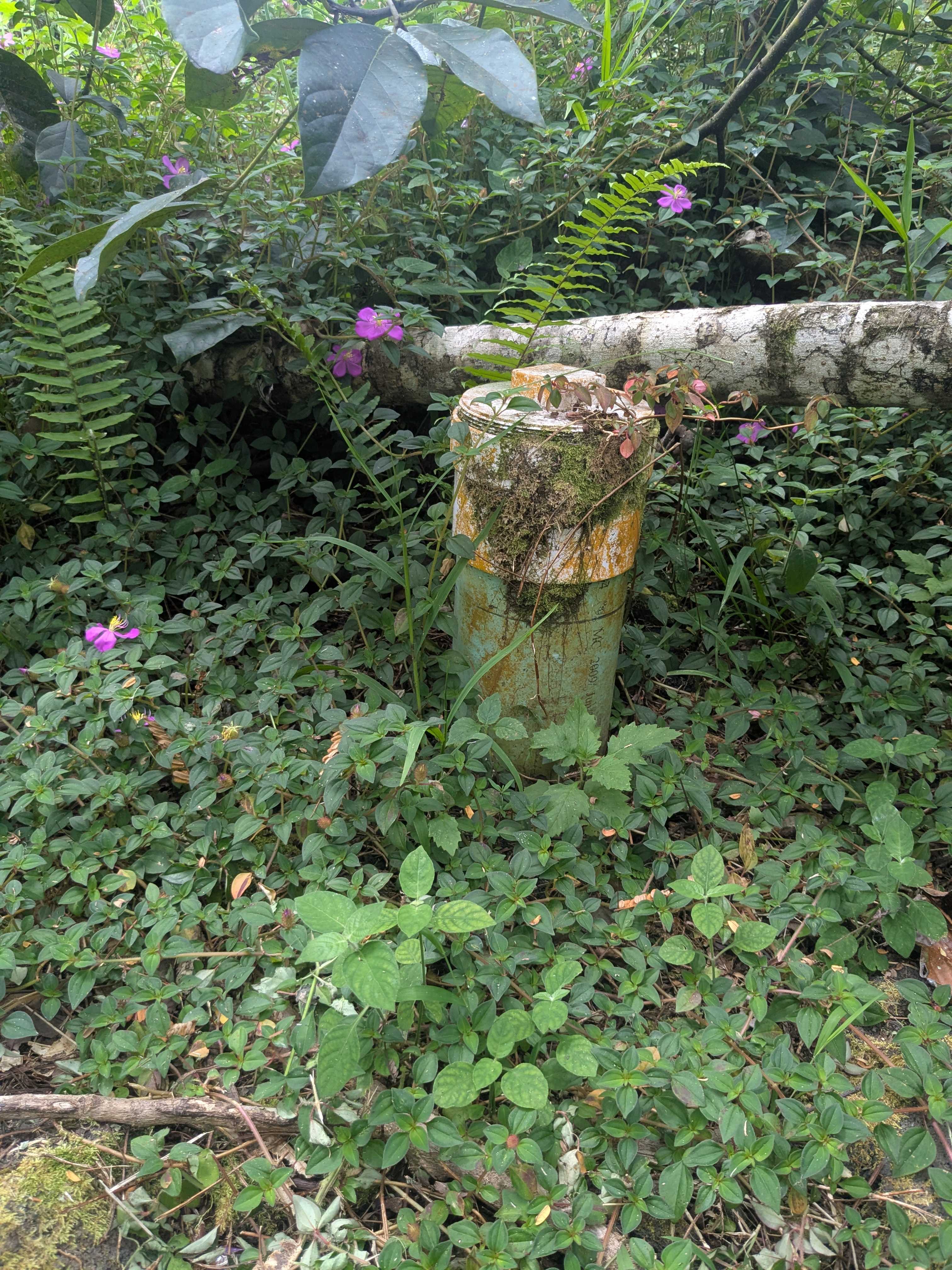 PAKALANA RD, Pahoa, HI 96778