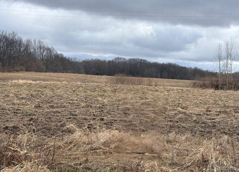 00 E Allen RD, Oceola Township, MI 48855