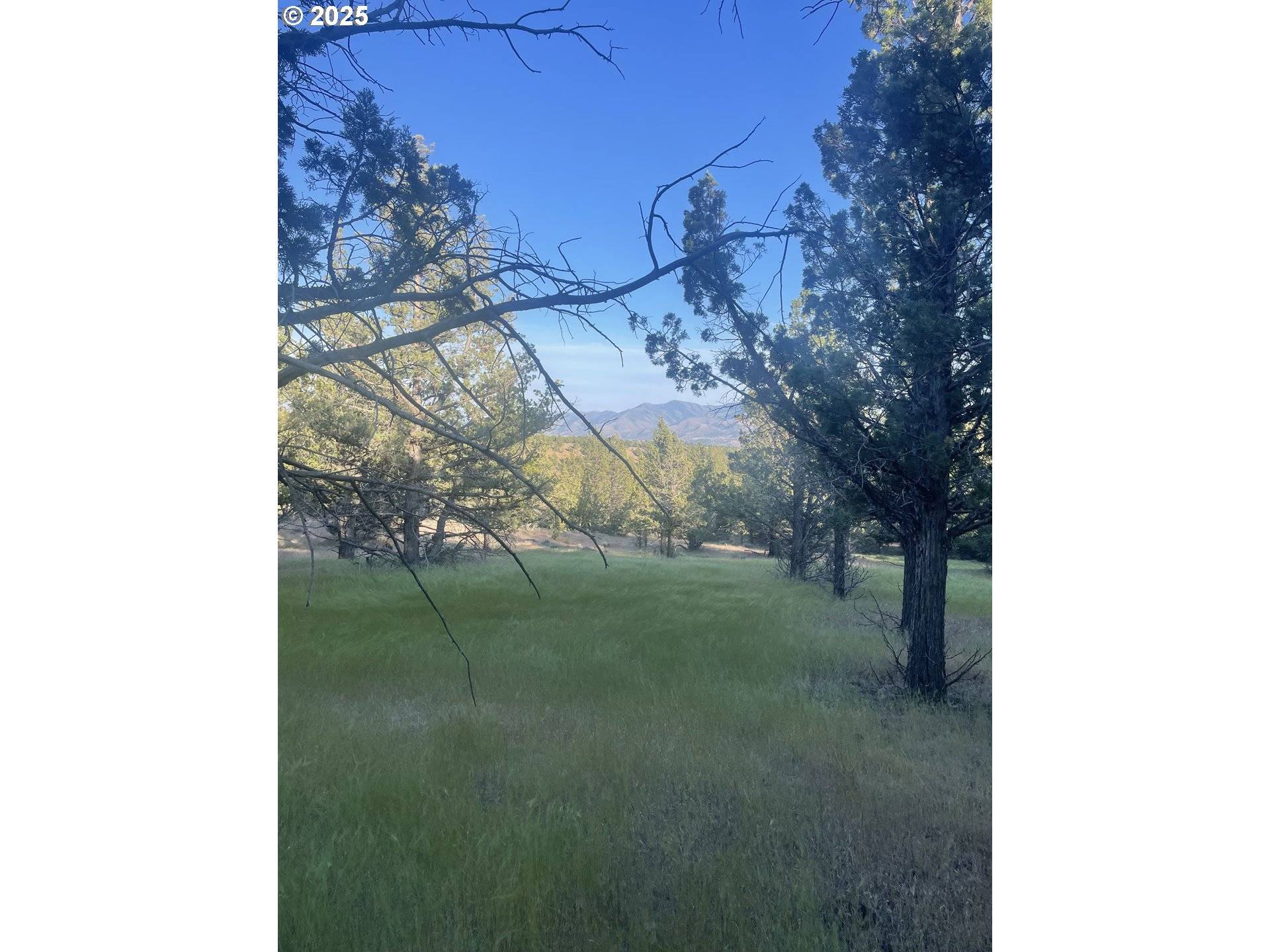 0 Wiley Creek RD, Dayville, OR 97825