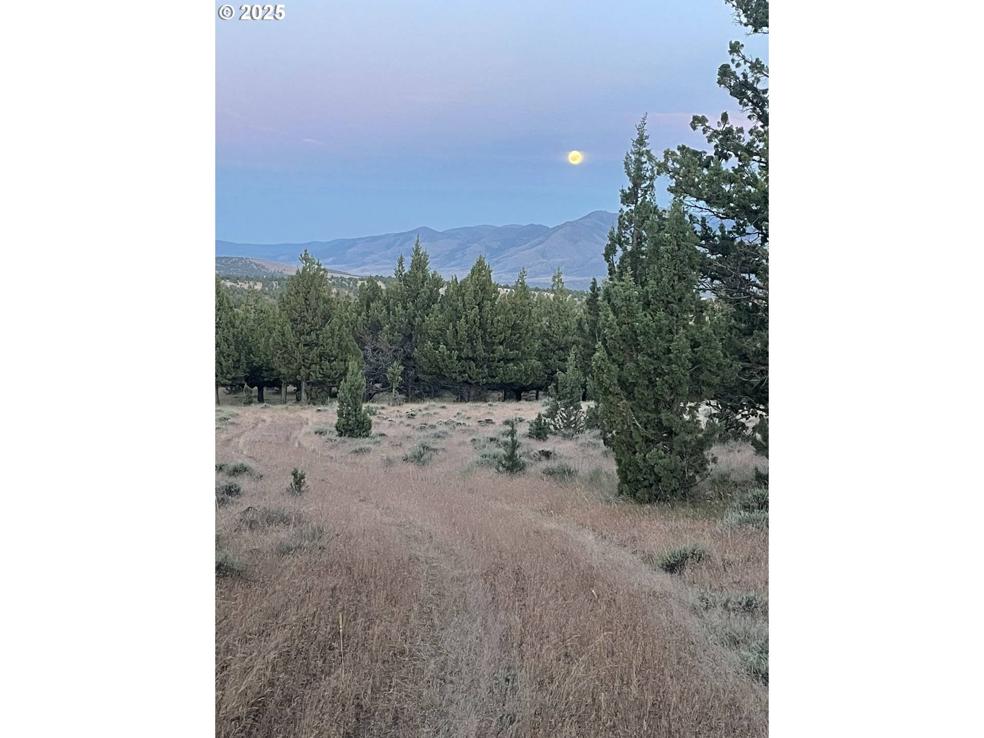 0 Wiley Creek RD, Dayville, OR 97825