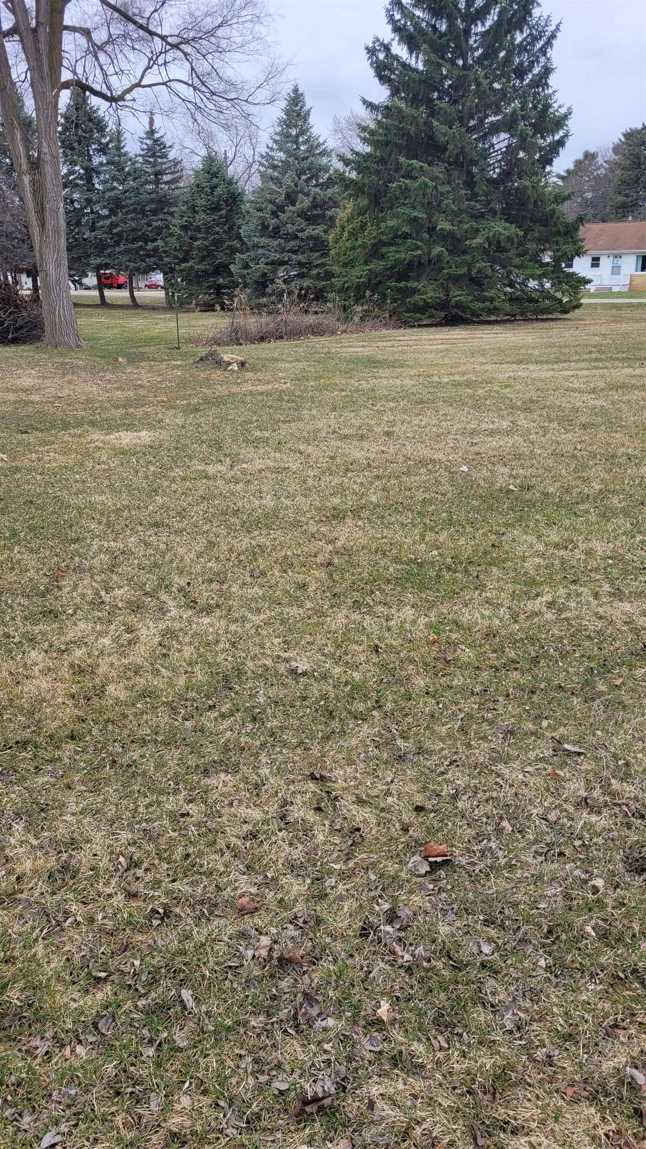 0 Hintz RD, Caledonia Twp, MI 48867