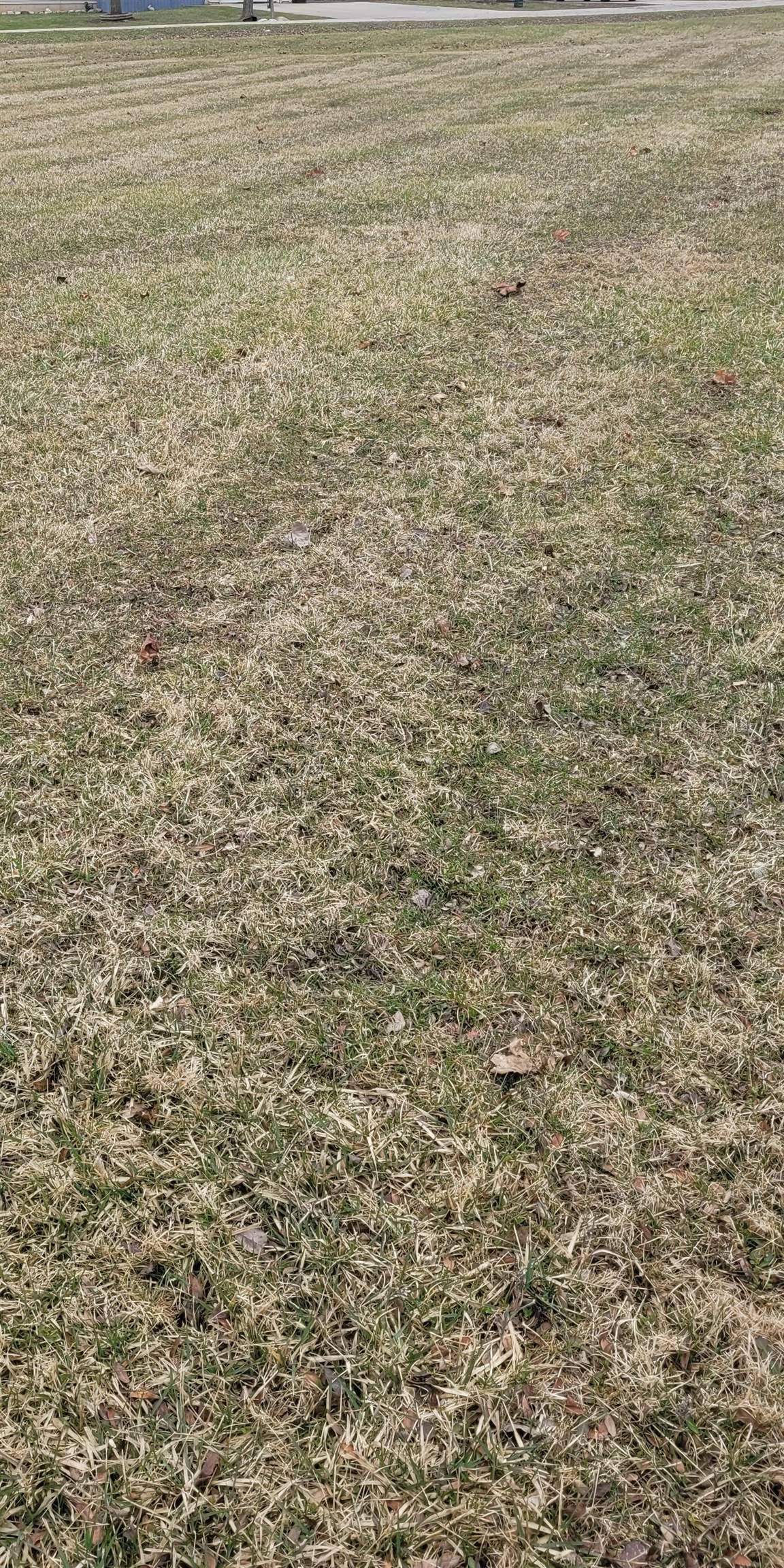 0 Hintz RD, Caledonia Twp, MI 48867