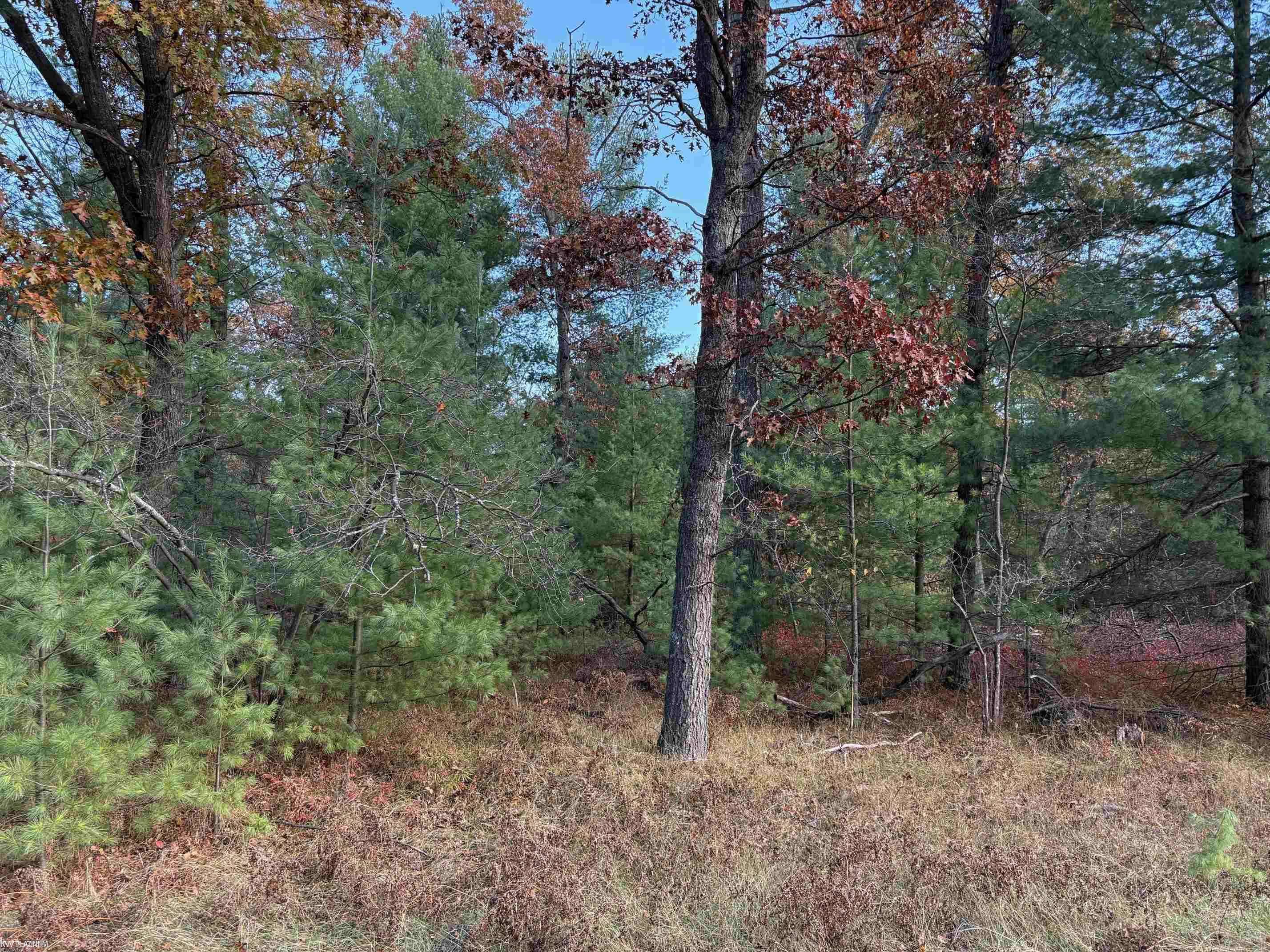 Lot 99 Wilderness DR, Moffatt Twp, MI 48610