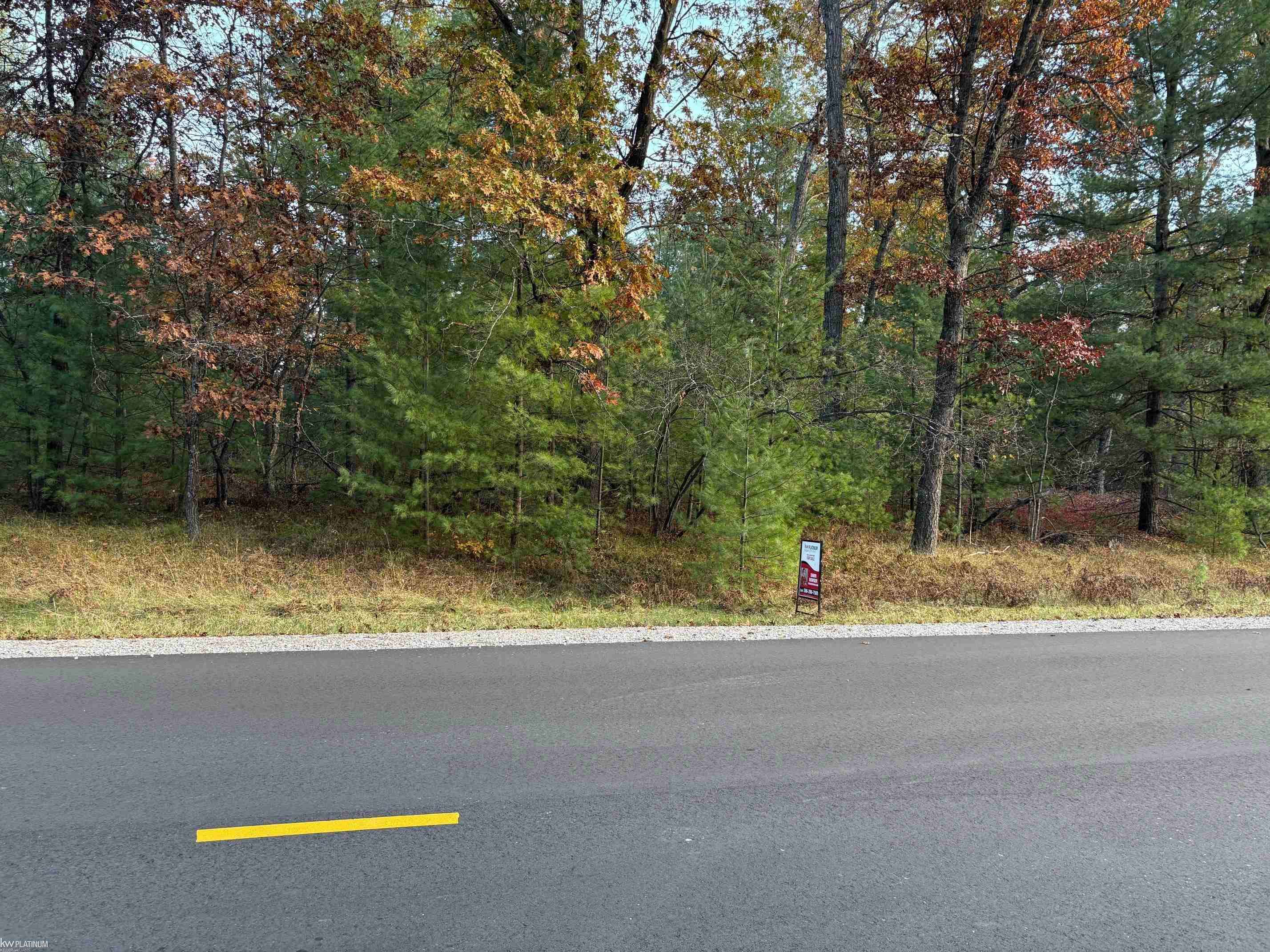 Lot 99 Wilderness DR, Moffatt Twp, MI 48610