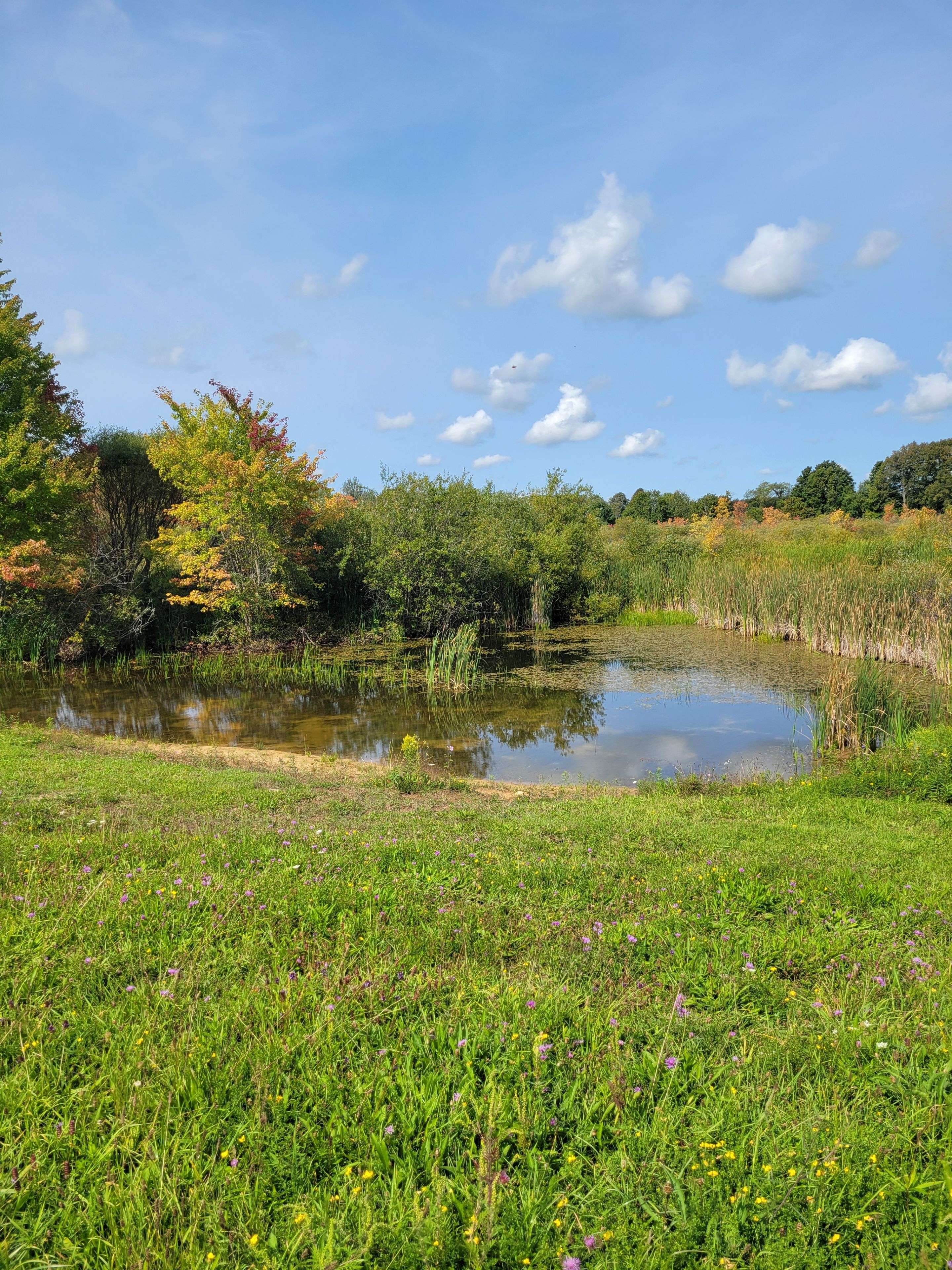 316900 HWY 6 N/A, Chatsworth, ON N0H 1G0