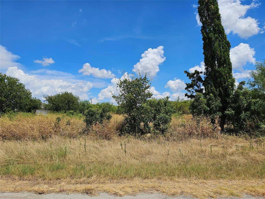 TBD Brazos Street, Coleman, TX 76834