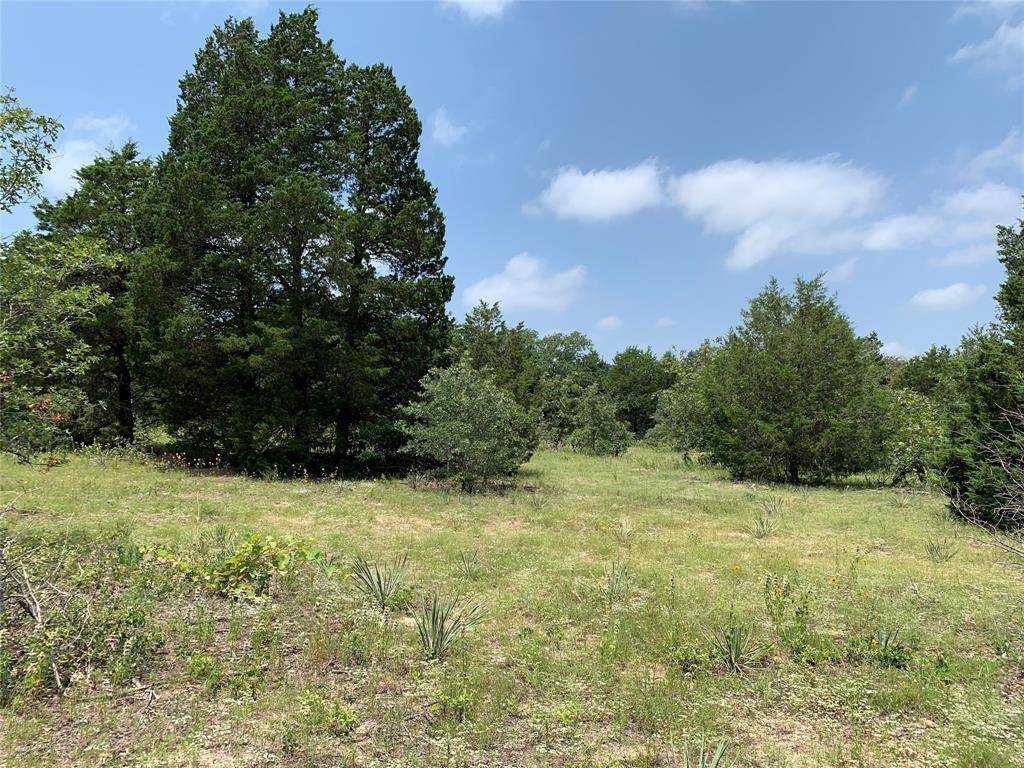 TBD Farm-to-Market 2494, Athens, TX 75751