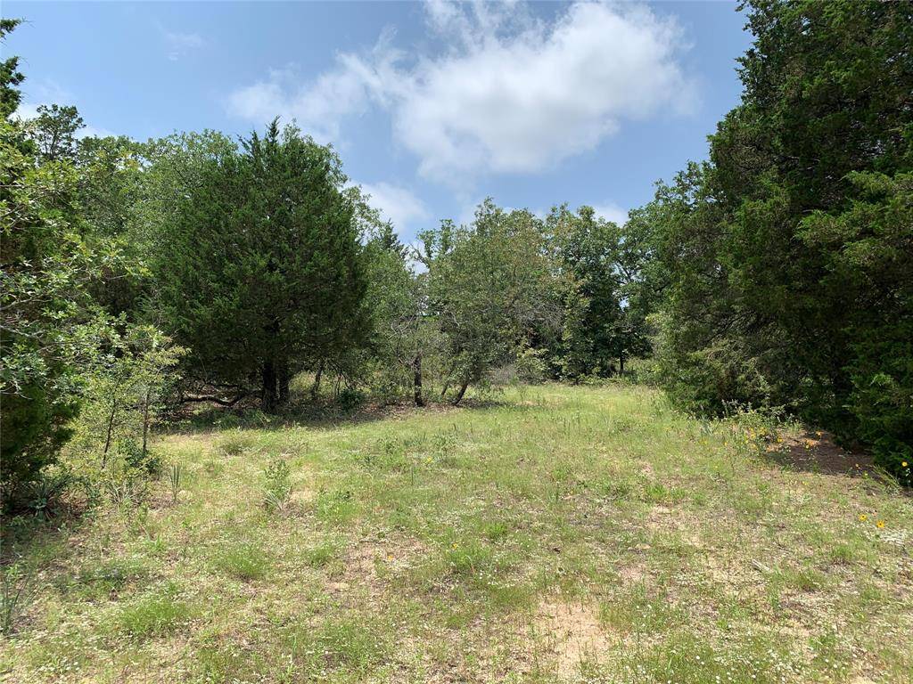 TBD Farm-to-Market 2494, Athens, TX 75751
