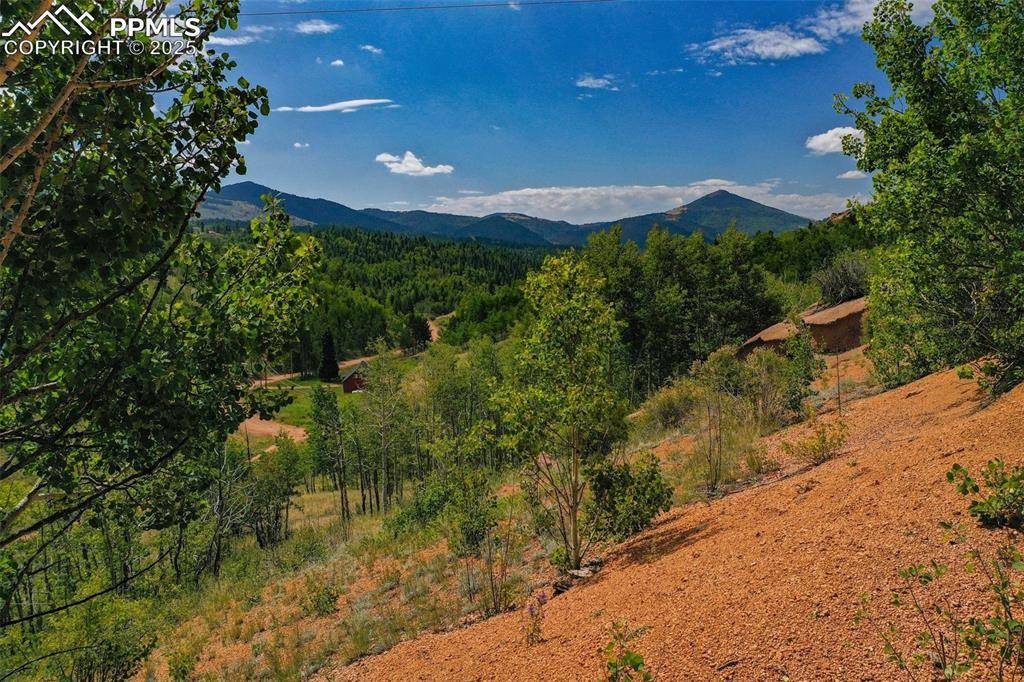 1300 Golden Cycle CIR, Cripple Creek, CO 80813