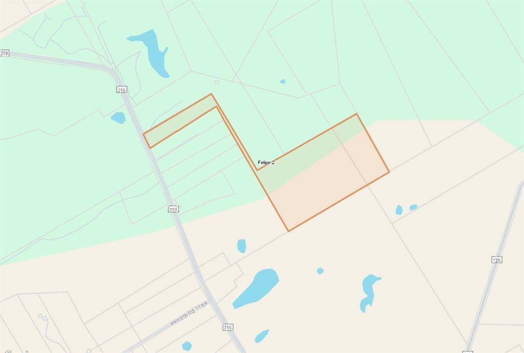 tbd Farm Road 219 W, Carlton, TX 76436