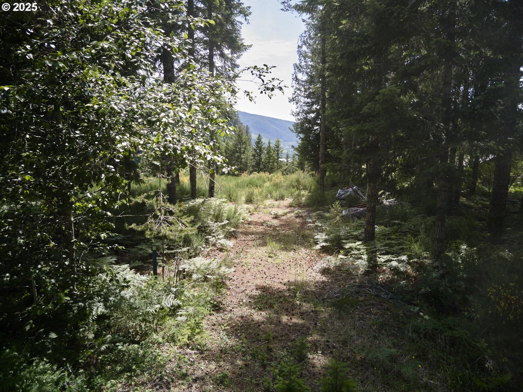 3 Phyllis Ann Block CT, Cougar, WA 98616