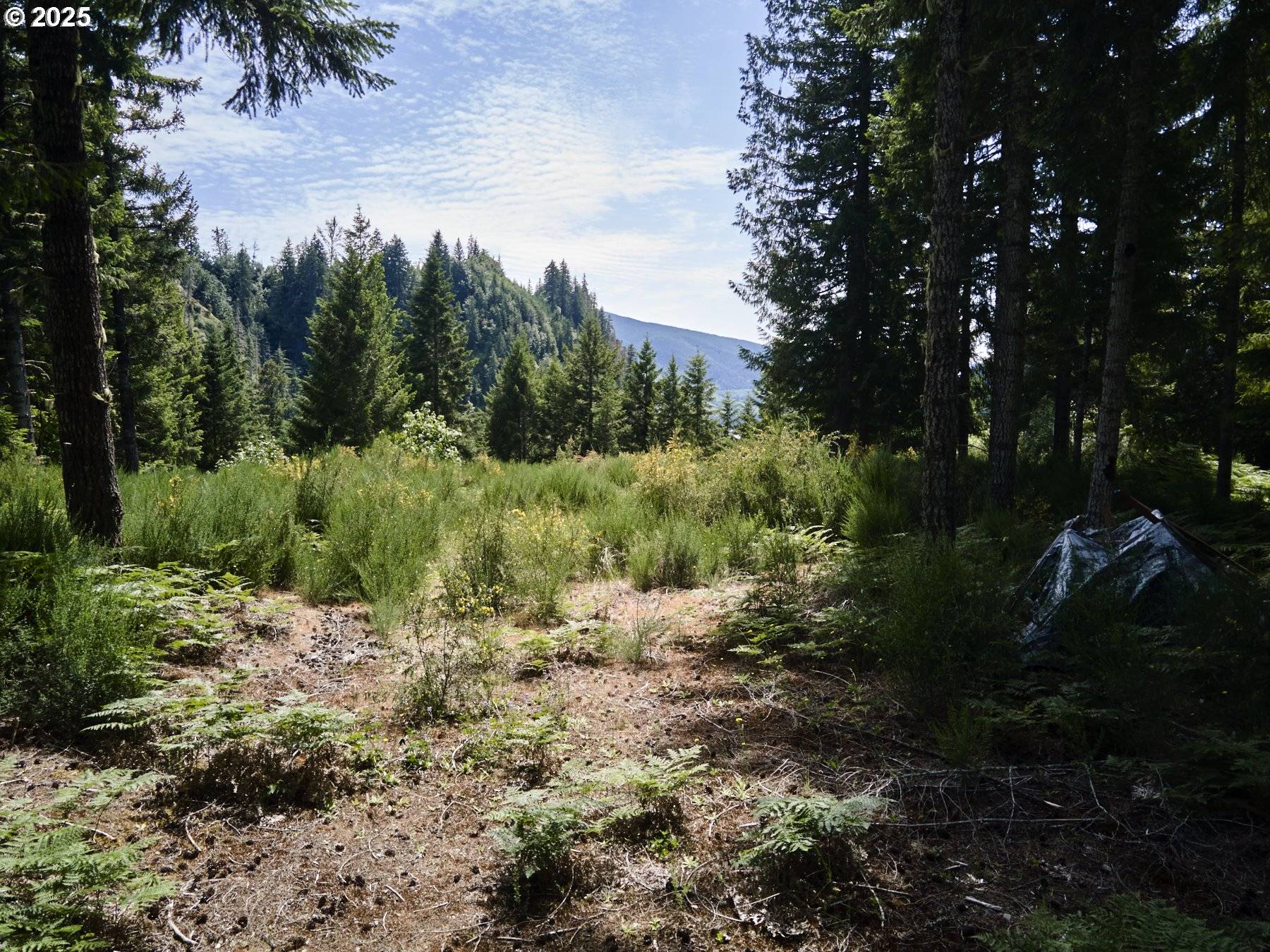 3 Phyllis Ann Block CT, Cougar, WA 98616