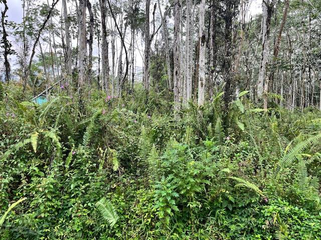 HAWAII RD, Pahoa, HI 96778