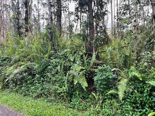 HAWAII RD, Pahoa, HI 96778