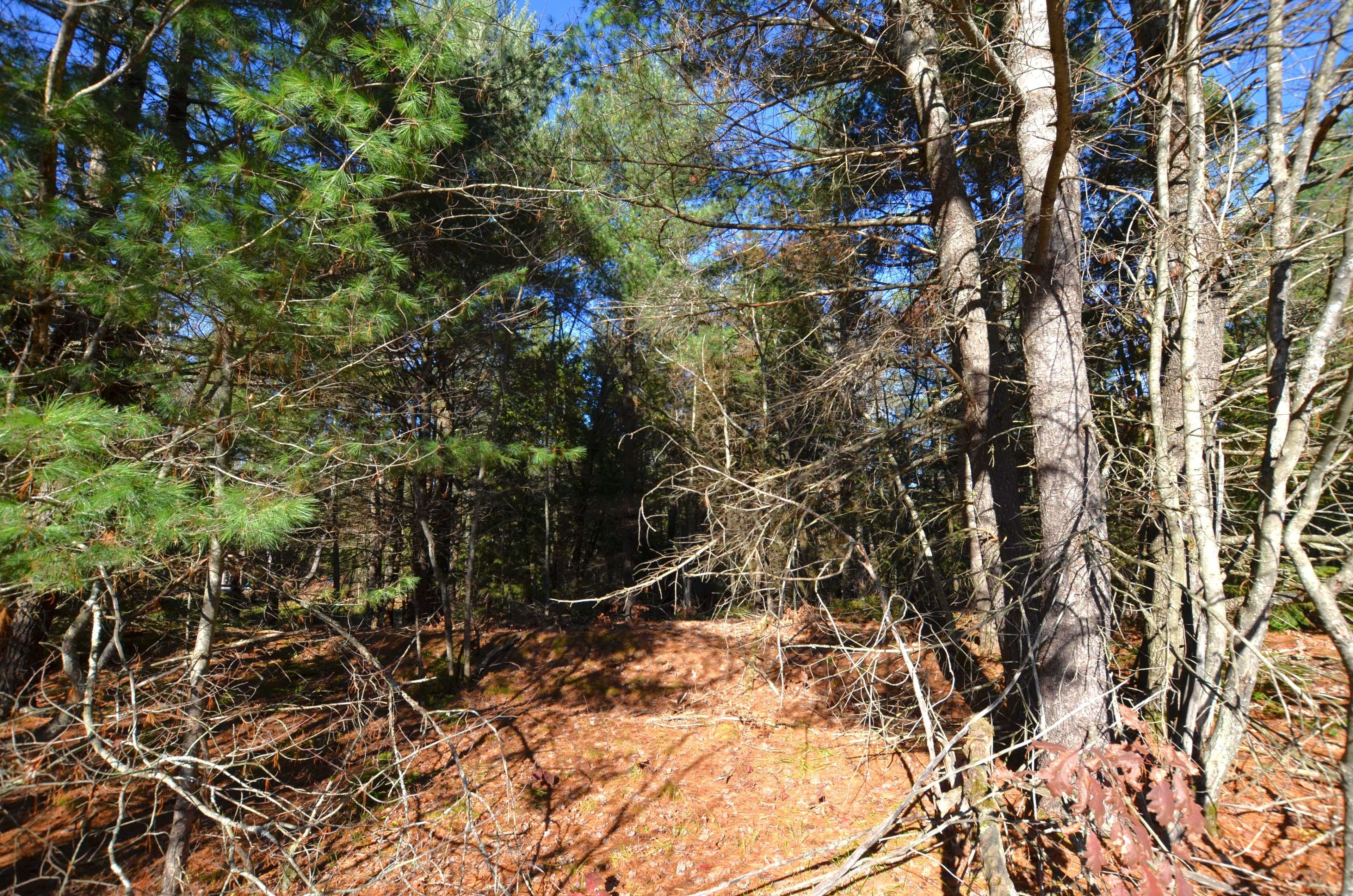 3 and 2 Parker Bay RD, Whitestone, ON P0G 1G0