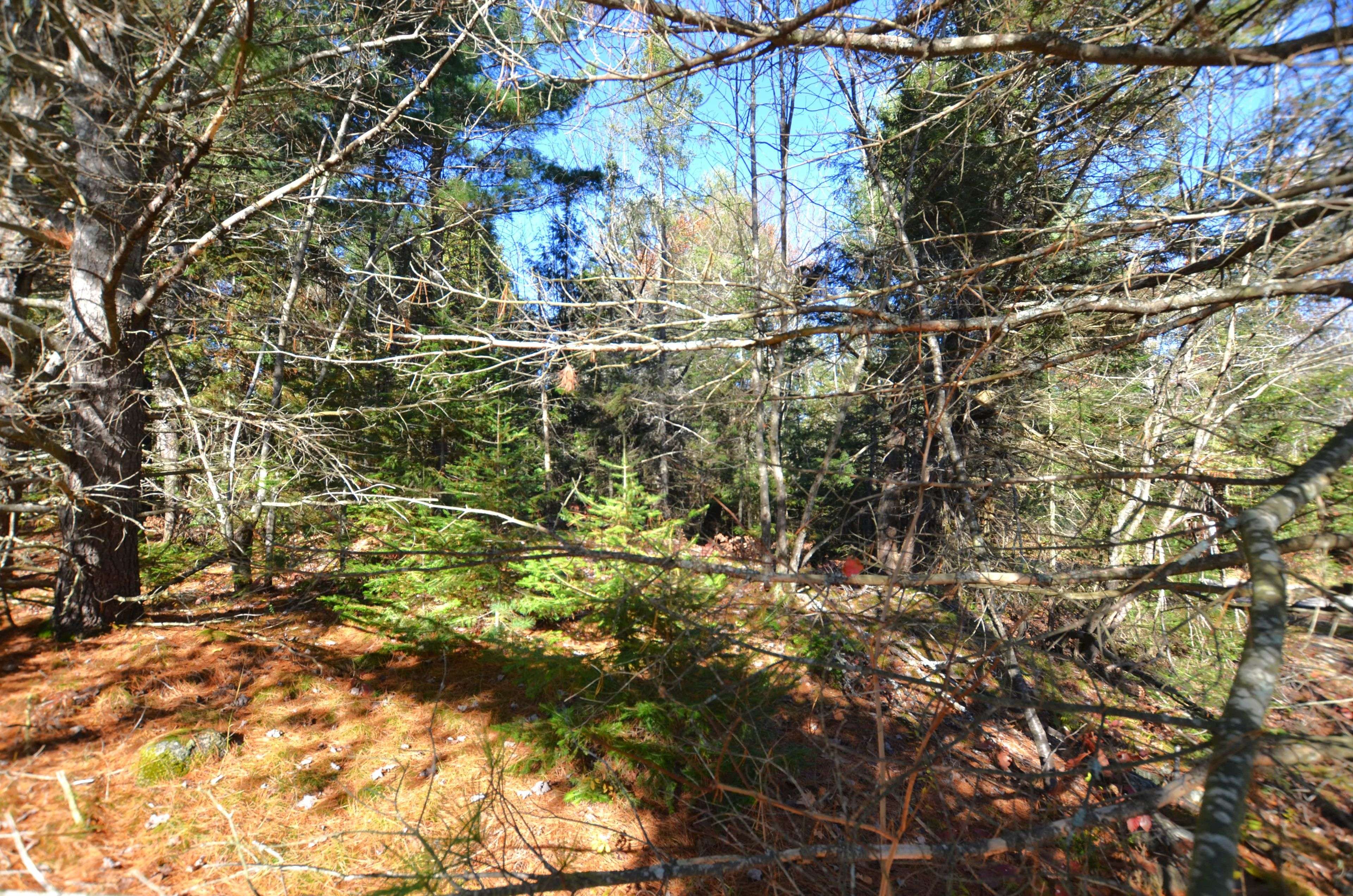 3 and 2 Parker Bay RD, Whitestone, ON P0G 1G0