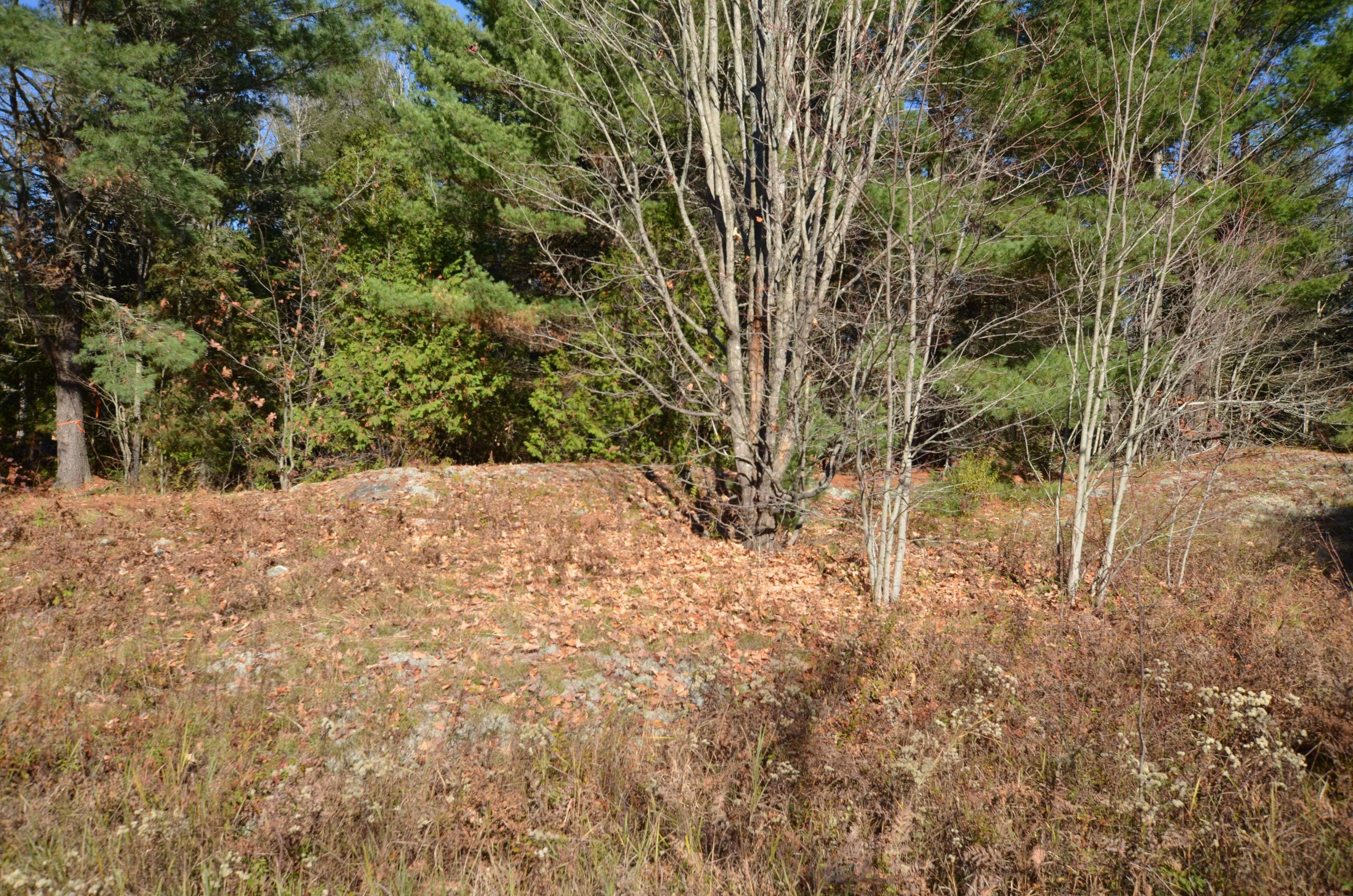 3 and 2 Parker Bay RD, Whitestone, ON P0G 1G0