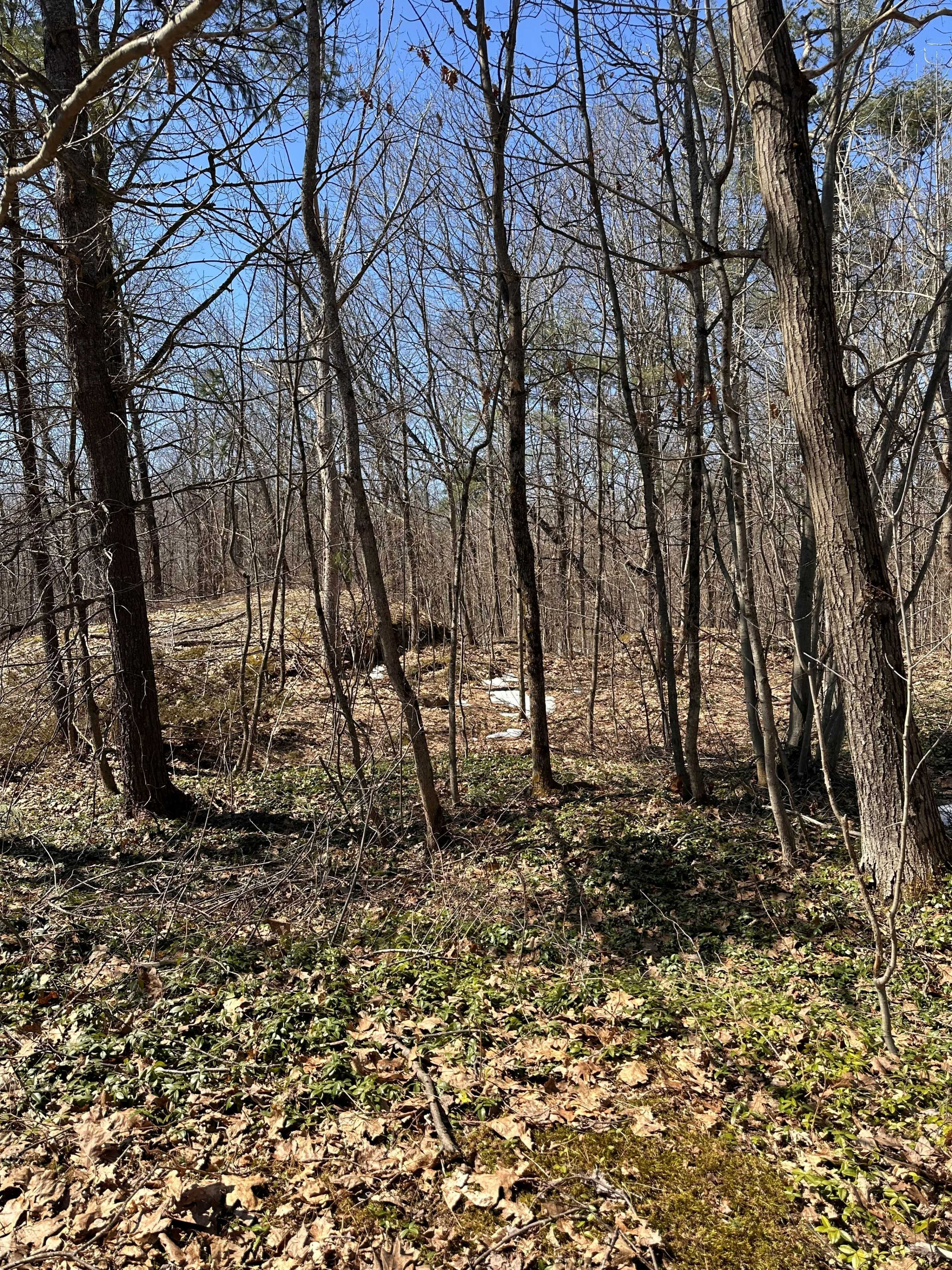 n/a n/a N/A, Gravenhurst, ON P0E 1G0