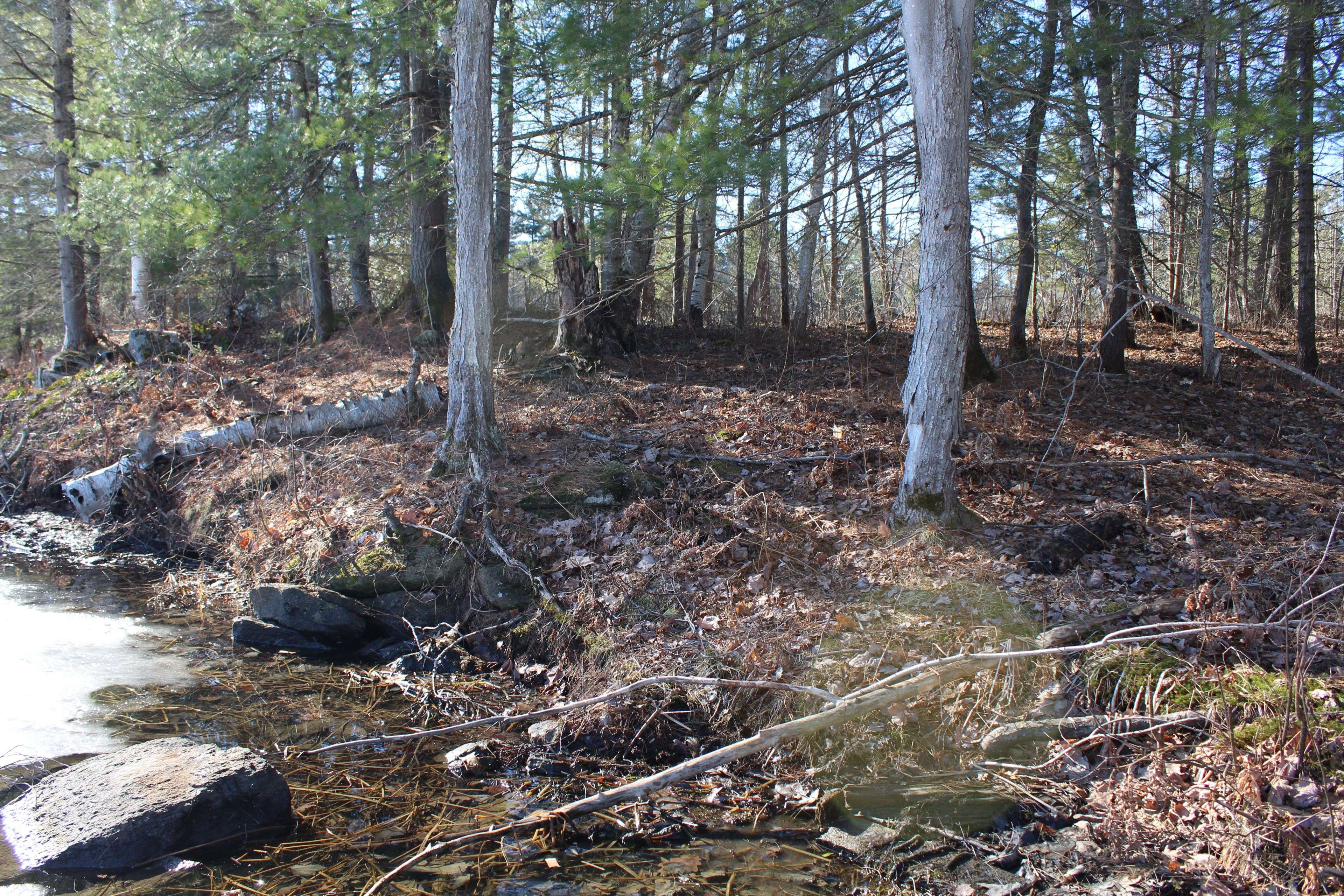 PT LTs H&I Island 12SR IS, Gravenhurst, ON P0E 1G0