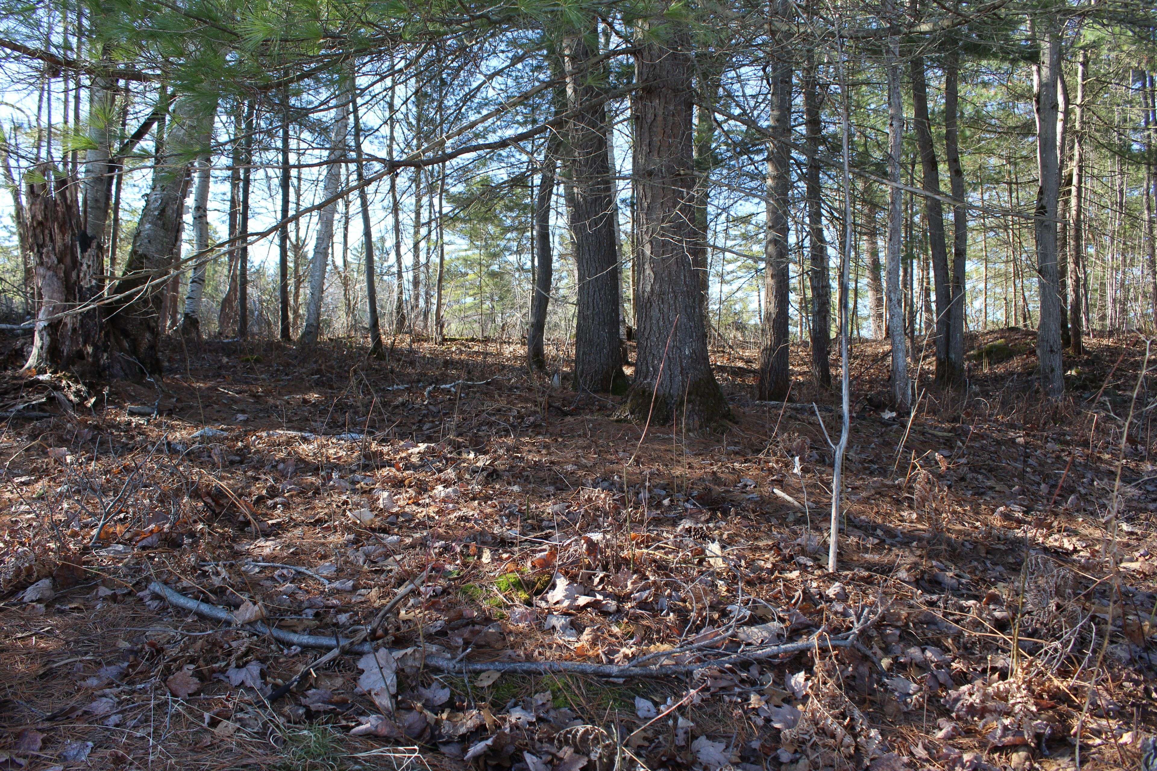 PT LTs H&I Island 12SR IS, Gravenhurst, ON P0E 1G0