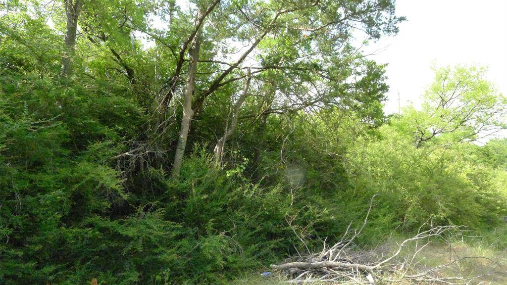 4335 Memory Lane Boulevard, Dallas, TX 75241