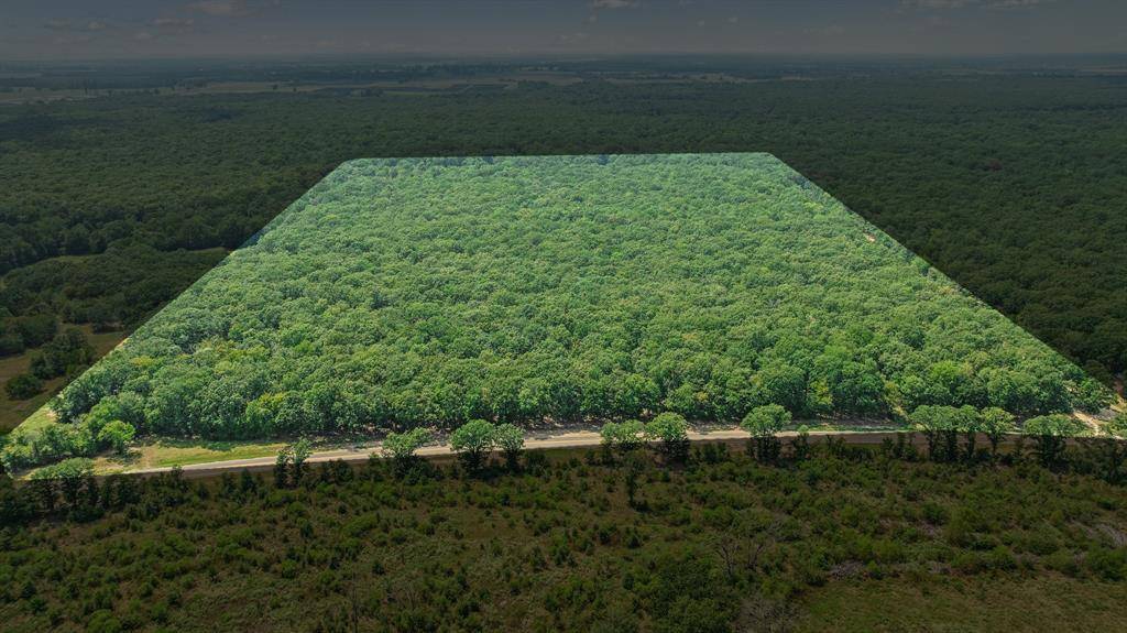 000 FM 410 S, Bogata, TX 75417