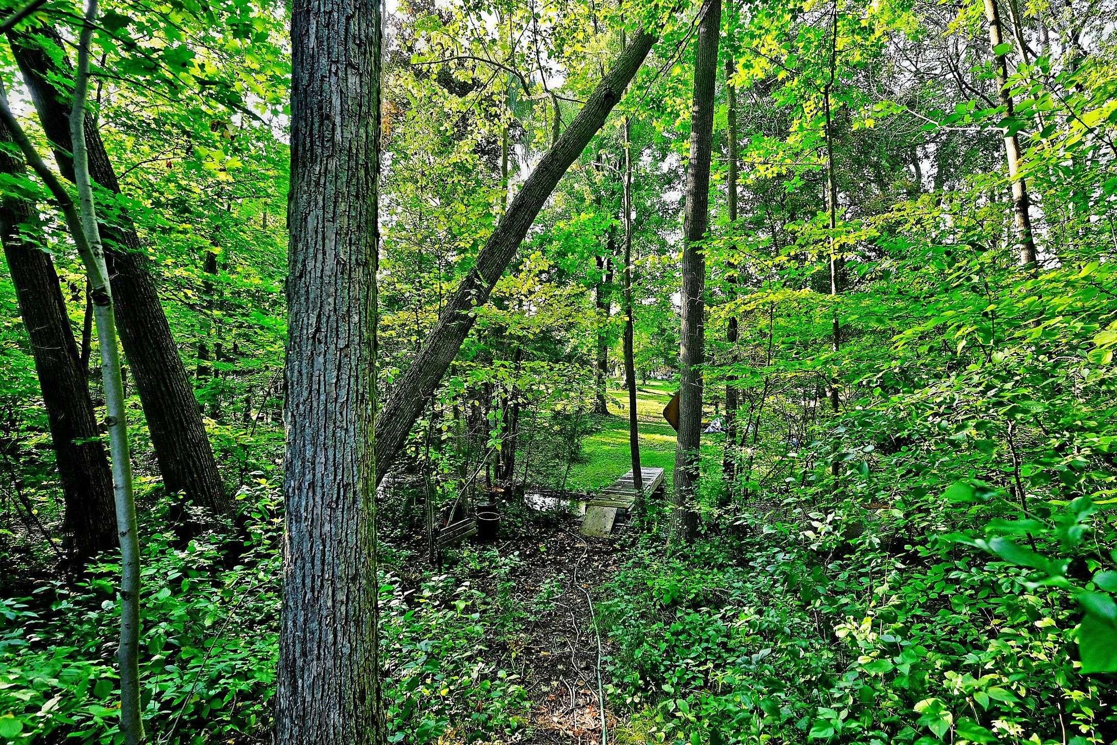 20805 Brock RD, Brock, ON L0E 1E0