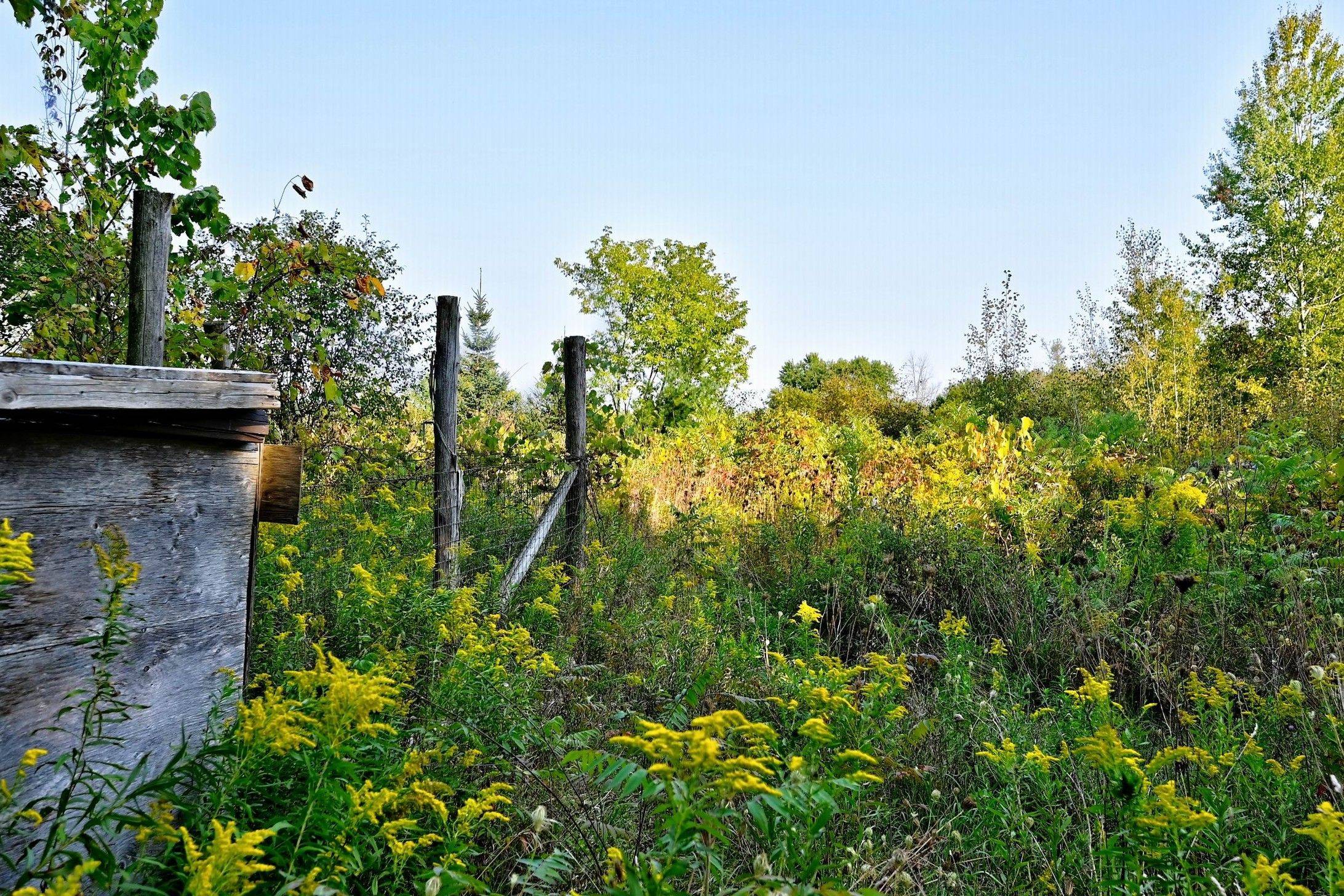 20805 Brock RD, Brock, ON L0E 1E0