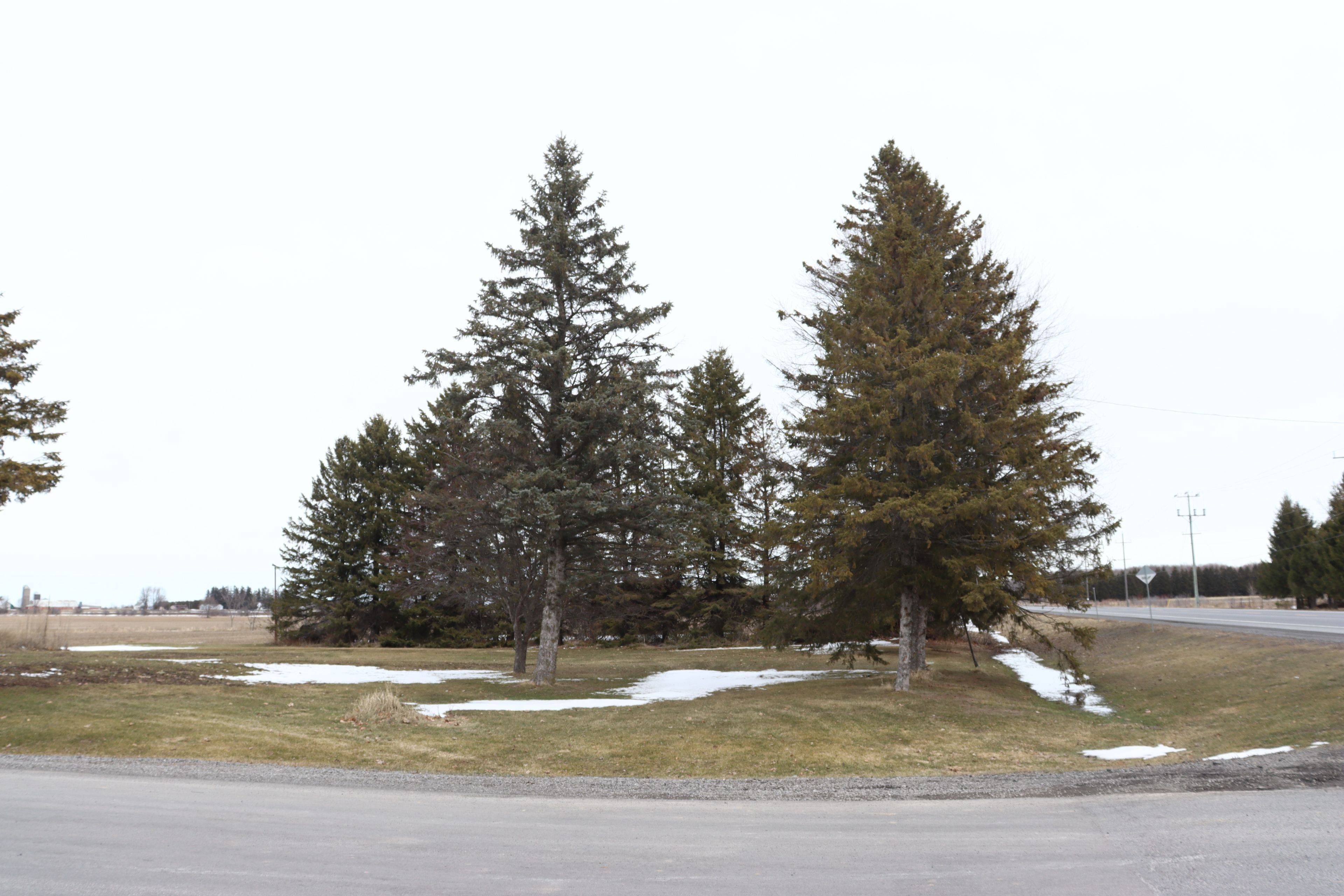 2575 Belanger RD, North Dundas, ON K0C 2K0