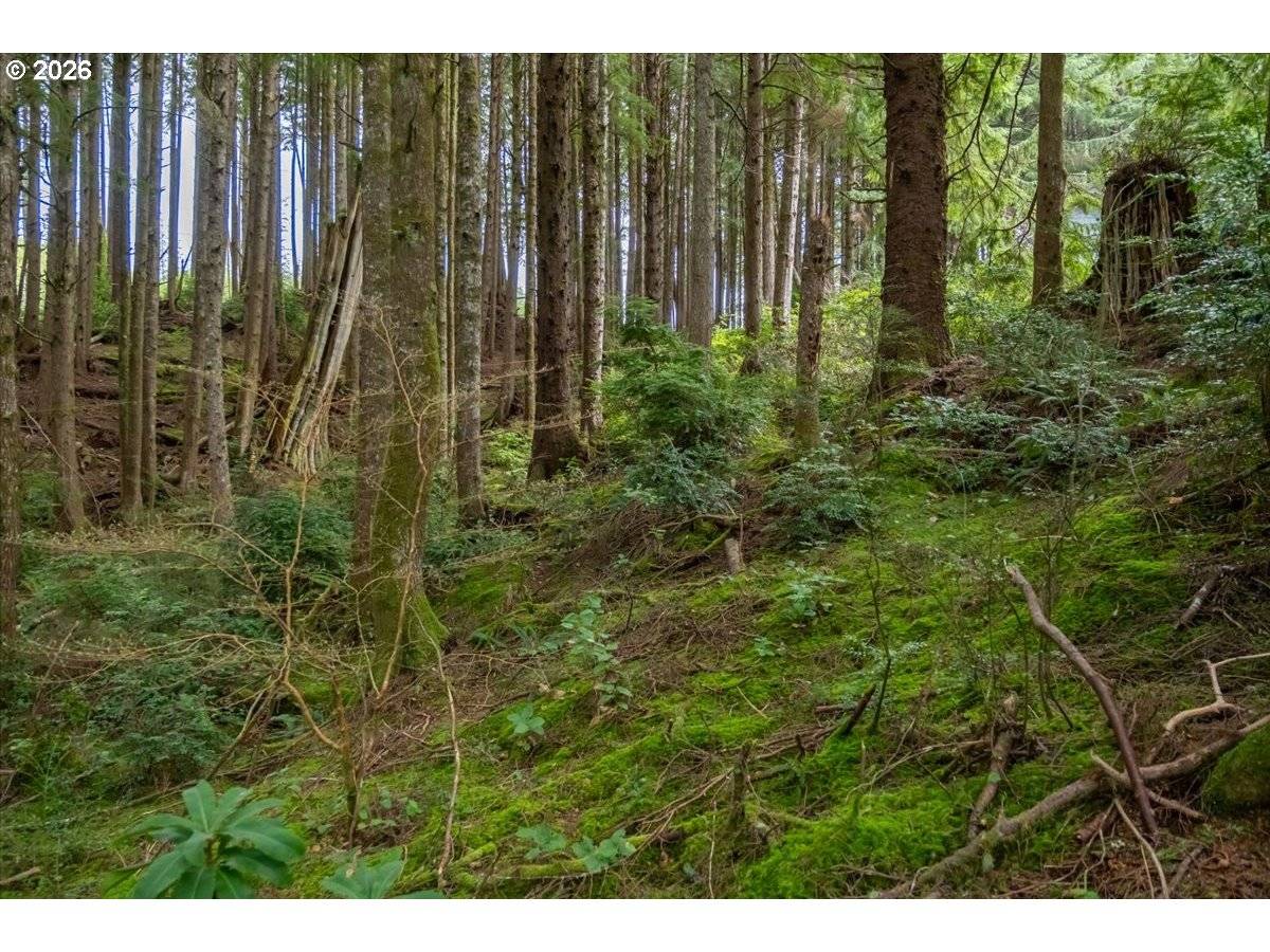 575 Fairway DR, Gleneden, OR 97388