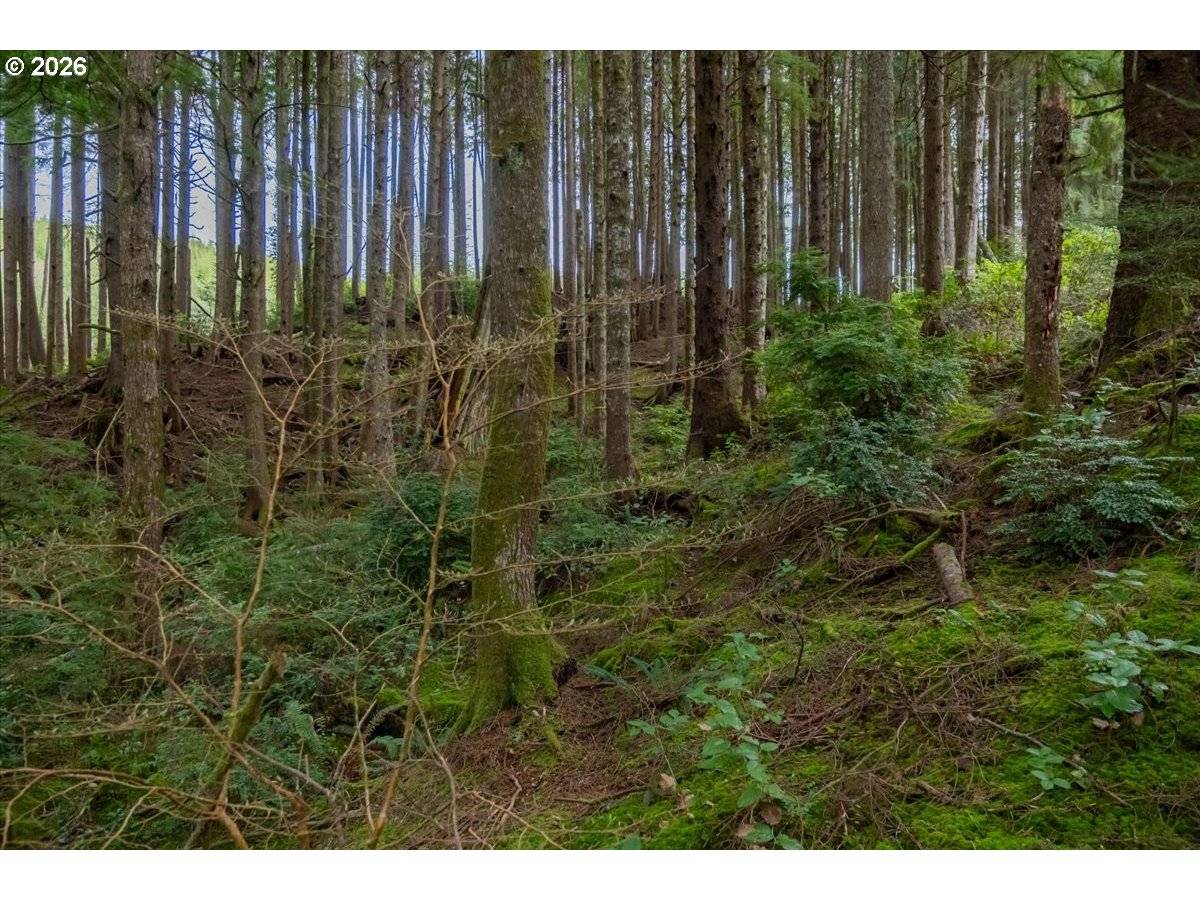 575 Fairway DR, Gleneden, OR 97388