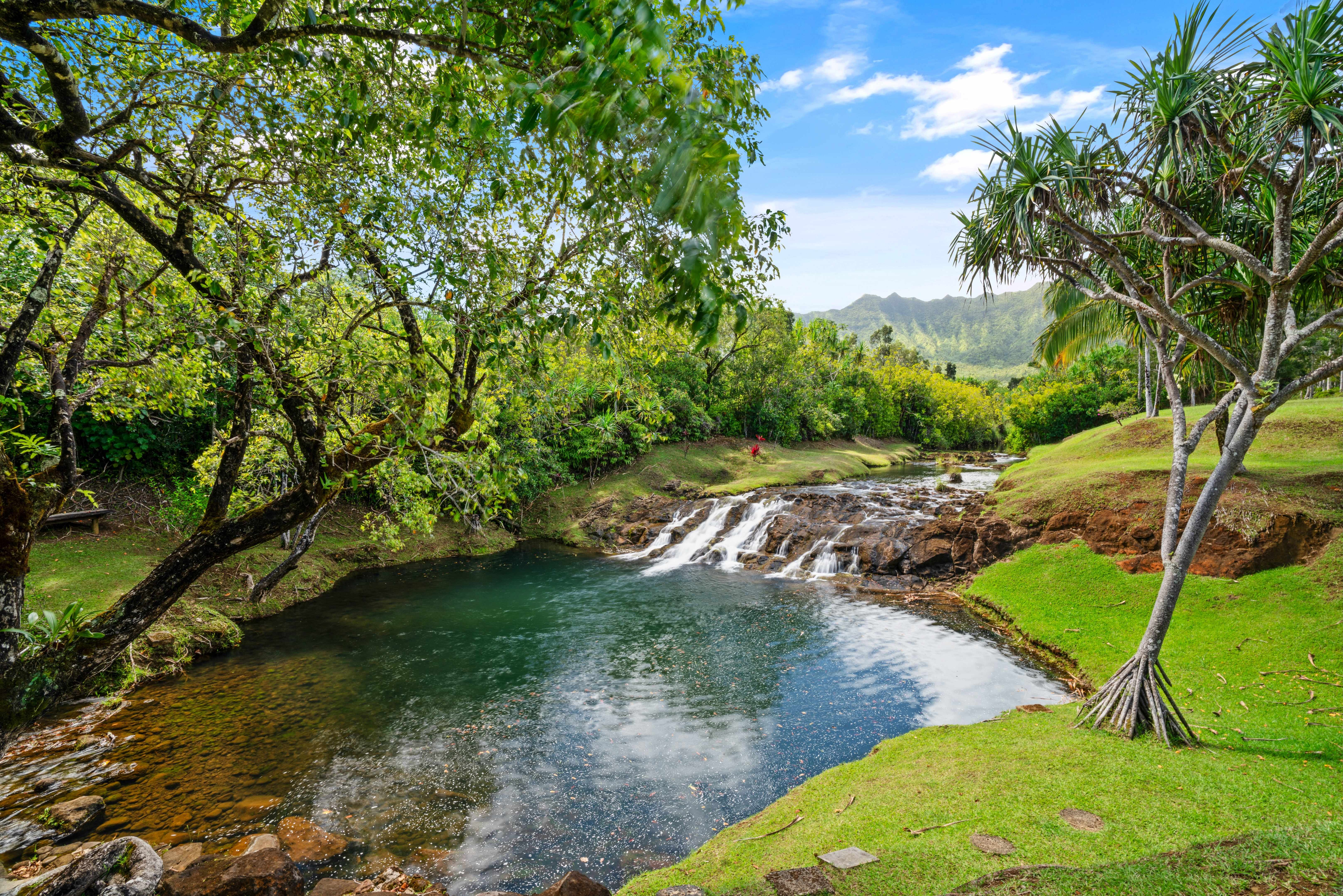 2818 KAMOOKOA RD #1, Kilauea, HI 96754