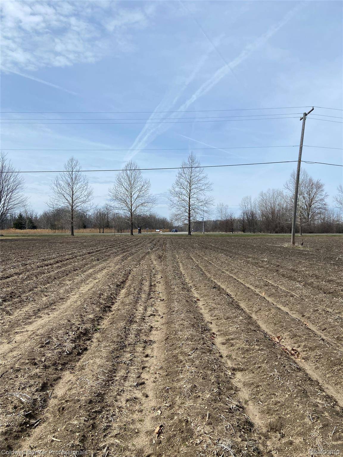 8705 Whittaker RD, Augusta Charter Township, MI 48197