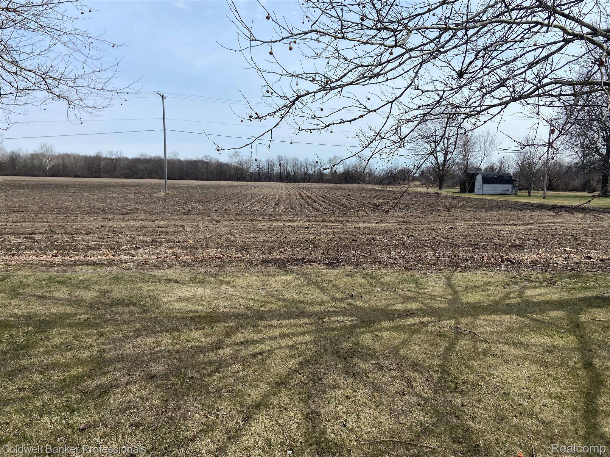 8705 Whittaker RD, Augusta Charter Township, MI 48197