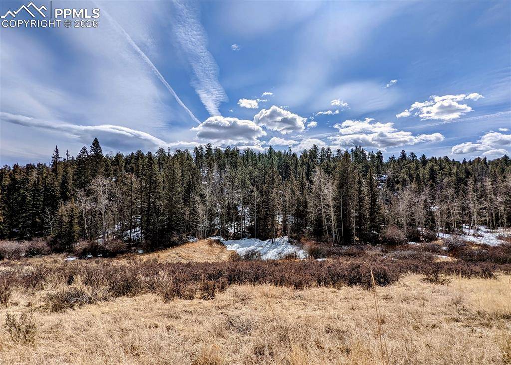 1620 Park Ridge DR, Guffey, CO 80820
