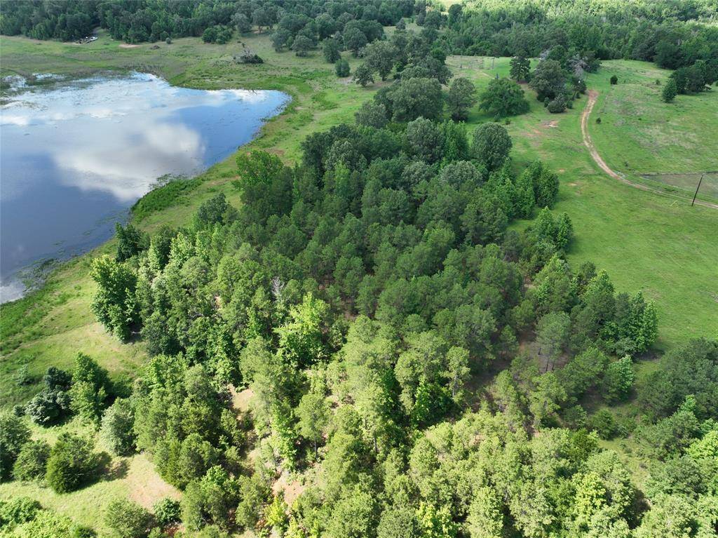 TBD County Road 3860, Lot 76, Hawkins, TX 75765