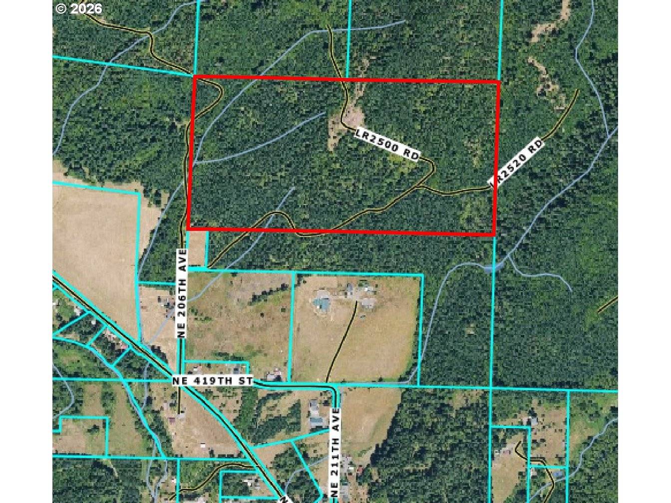 0 NE 206th AVE, Amboy, WA 98601