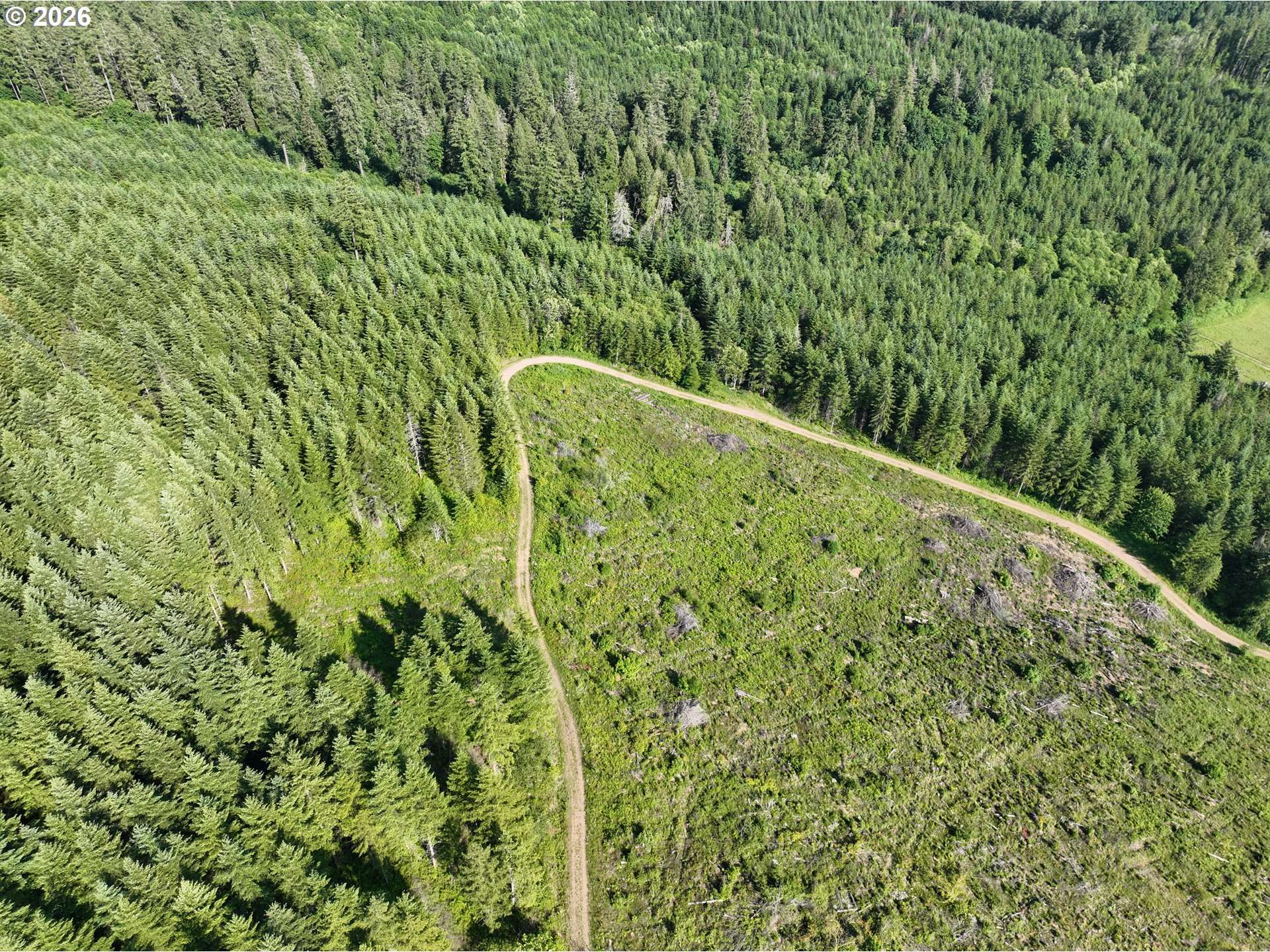 0 NE 206th AVE, Amboy, WA 98601