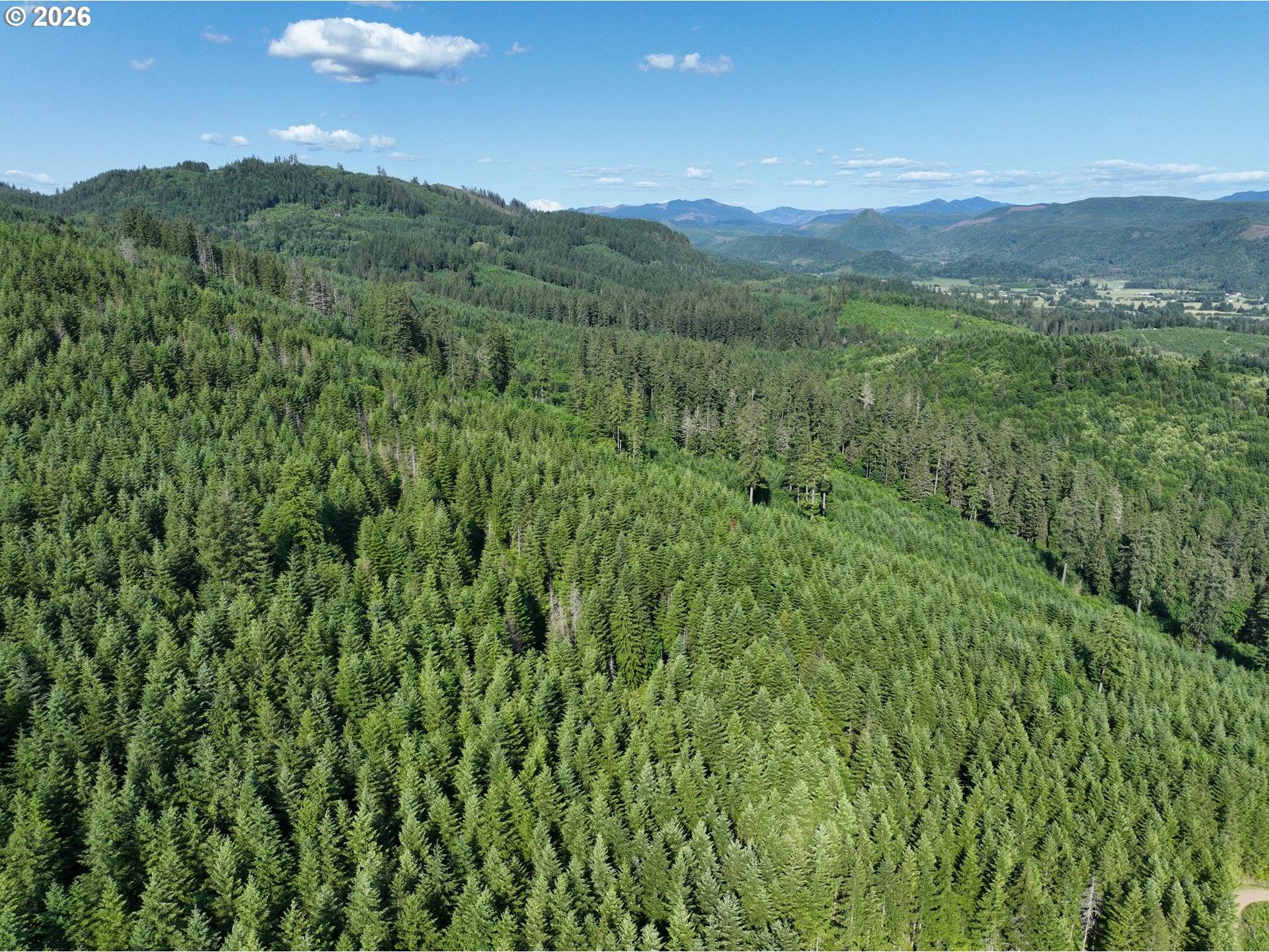 0 NE 206th AVE, Amboy, WA 98601